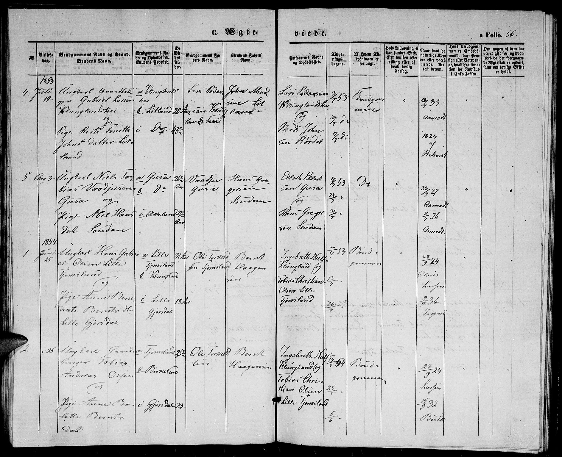 Herad sokneprestkontor, AV/SAK-1111-0018/F/Fb/Fba/L0002: Parish register (copy) no. B 2, 1852-1862, p. 56