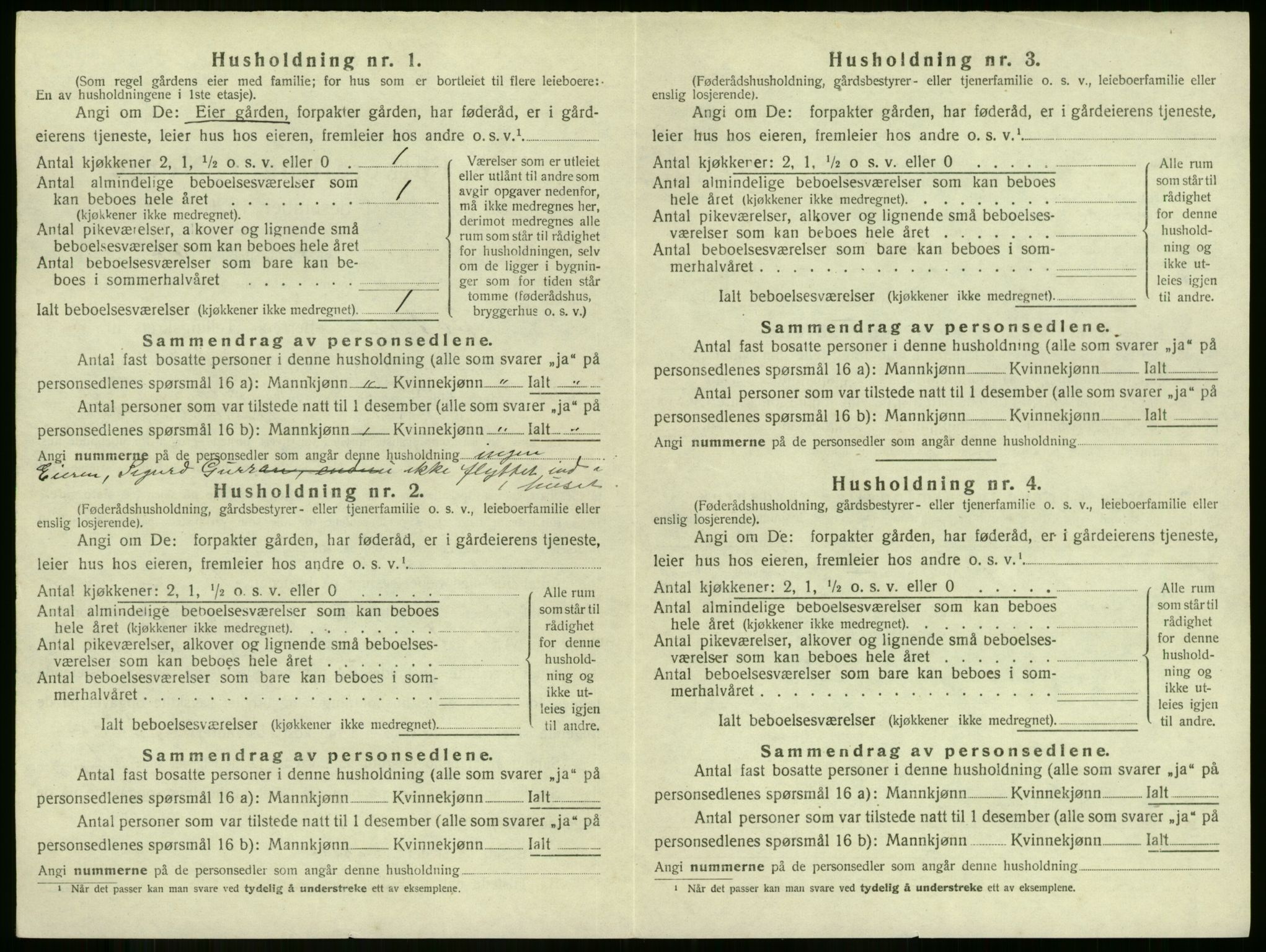 SAKO, 1920 census for Botne, 1920, p. 381