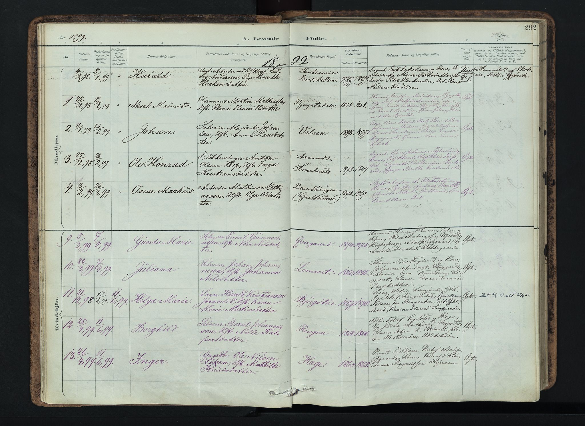 Vardal prestekontor, AV/SAH-PREST-100/H/Ha/Haa/L0019: Parish register (official) no. 19, 1893-1907, p. 29