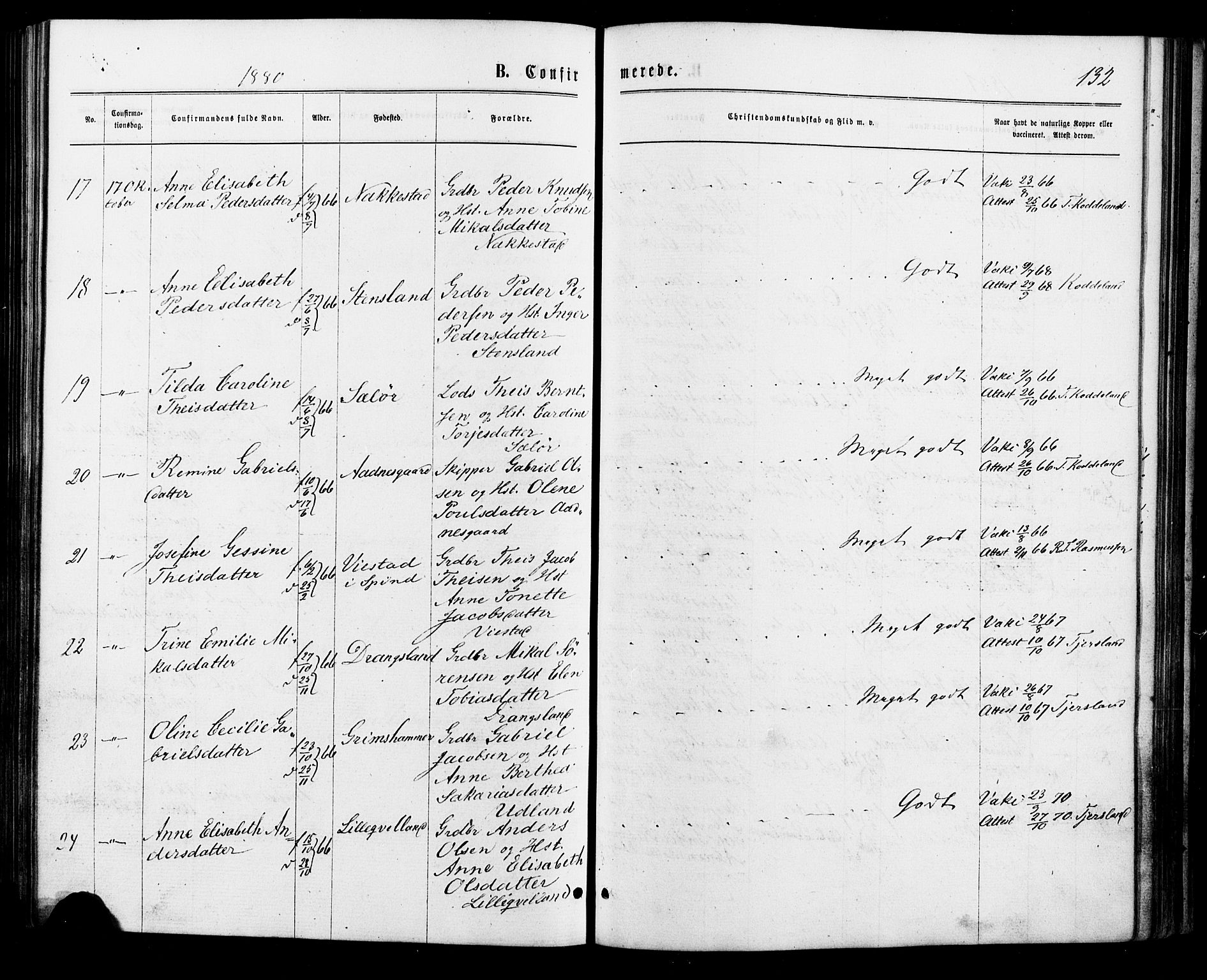 Lyngdal sokneprestkontor, AV/SAK-1111-0029/F/Fa/Faa/L0003: Parish register (official) no. A 3, 1871-1882, p. 132