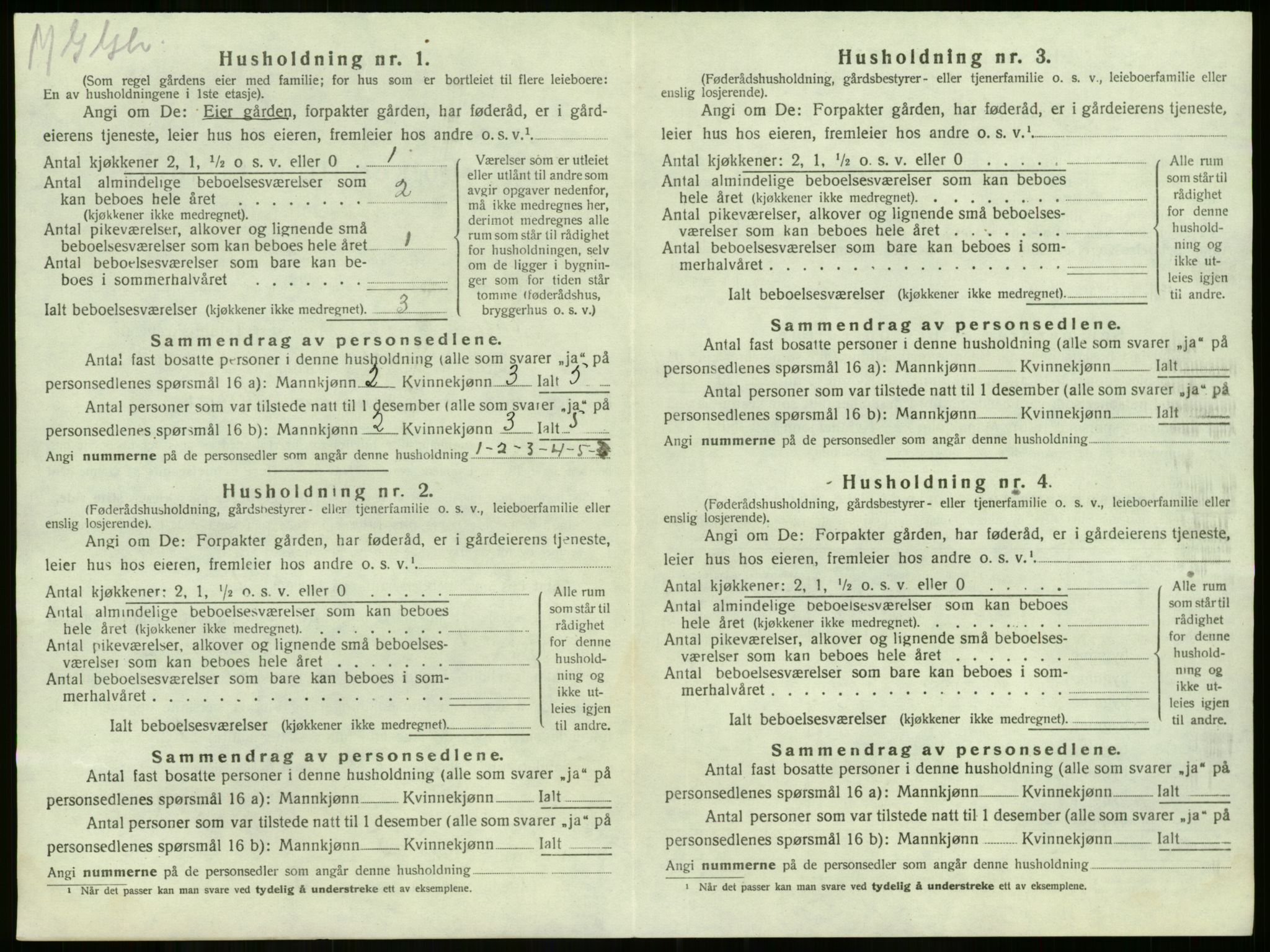 SAKO, 1920 census for Våle, 1920, p. 1027