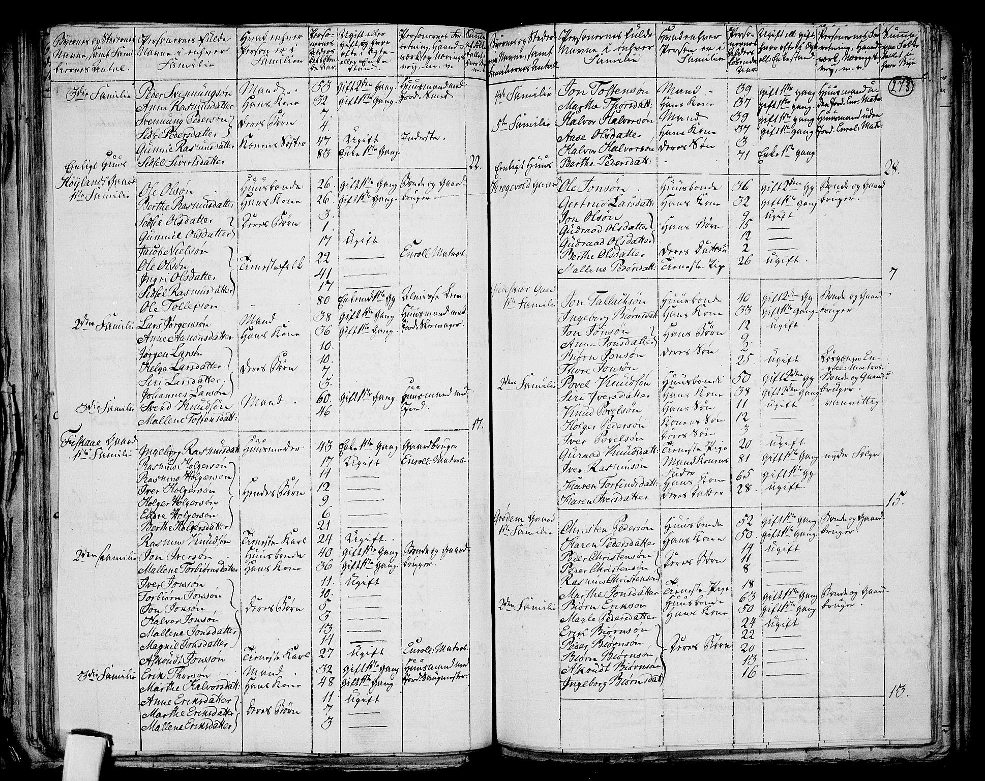 RA, 1801 census for 1130P Strand, 1801, p. 272b-273a