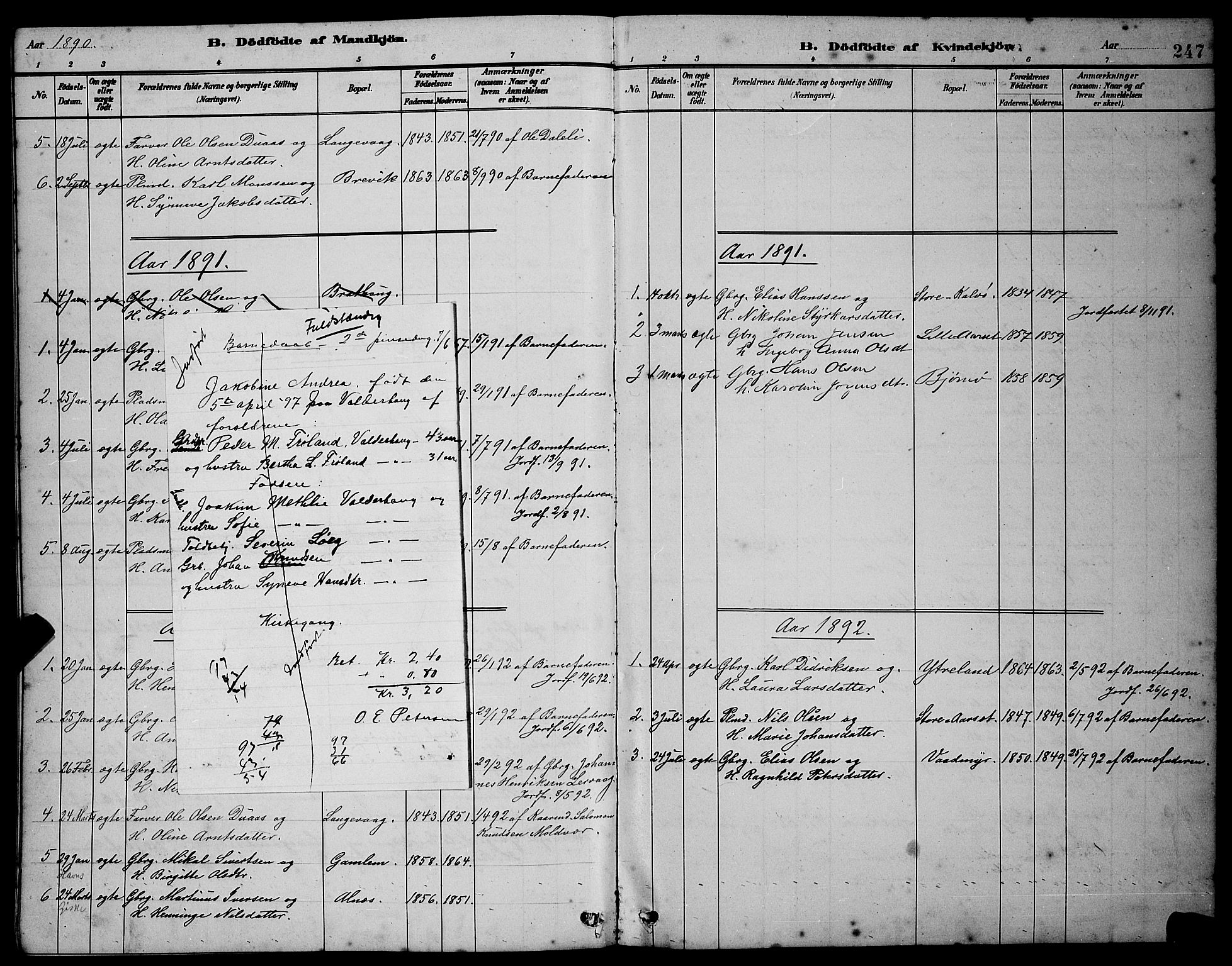 Ministerialprotokoller, klokkerbøker og fødselsregistre - Møre og Romsdal, AV/SAT-A-1454/528/L0431: Parish register (copy) no. 528C12, 1885-1898, p. 247