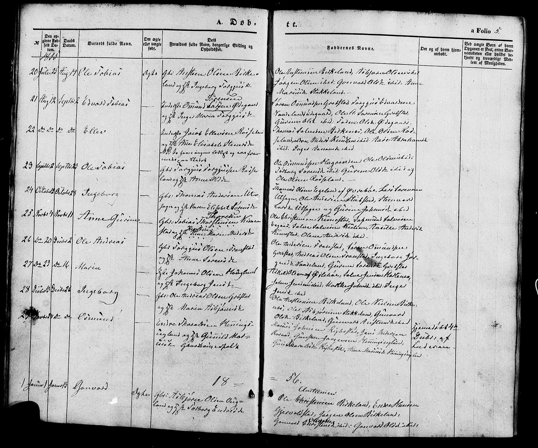 Søgne sokneprestkontor, SAK/1111-0037/F/Fa/Faa/L0002: Parish register (official) no. A 2, 1854-1882, p. 5