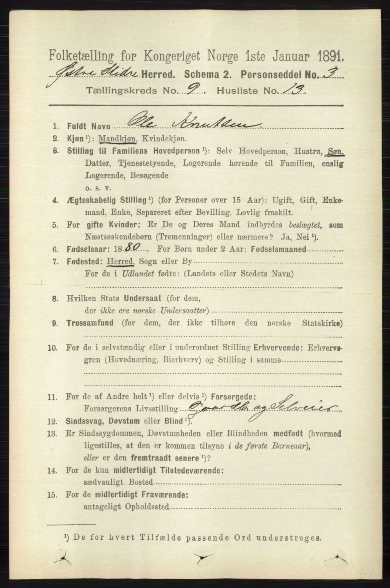 RA, 1891 census for 0544 Øystre Slidre, 1891, p. 3102