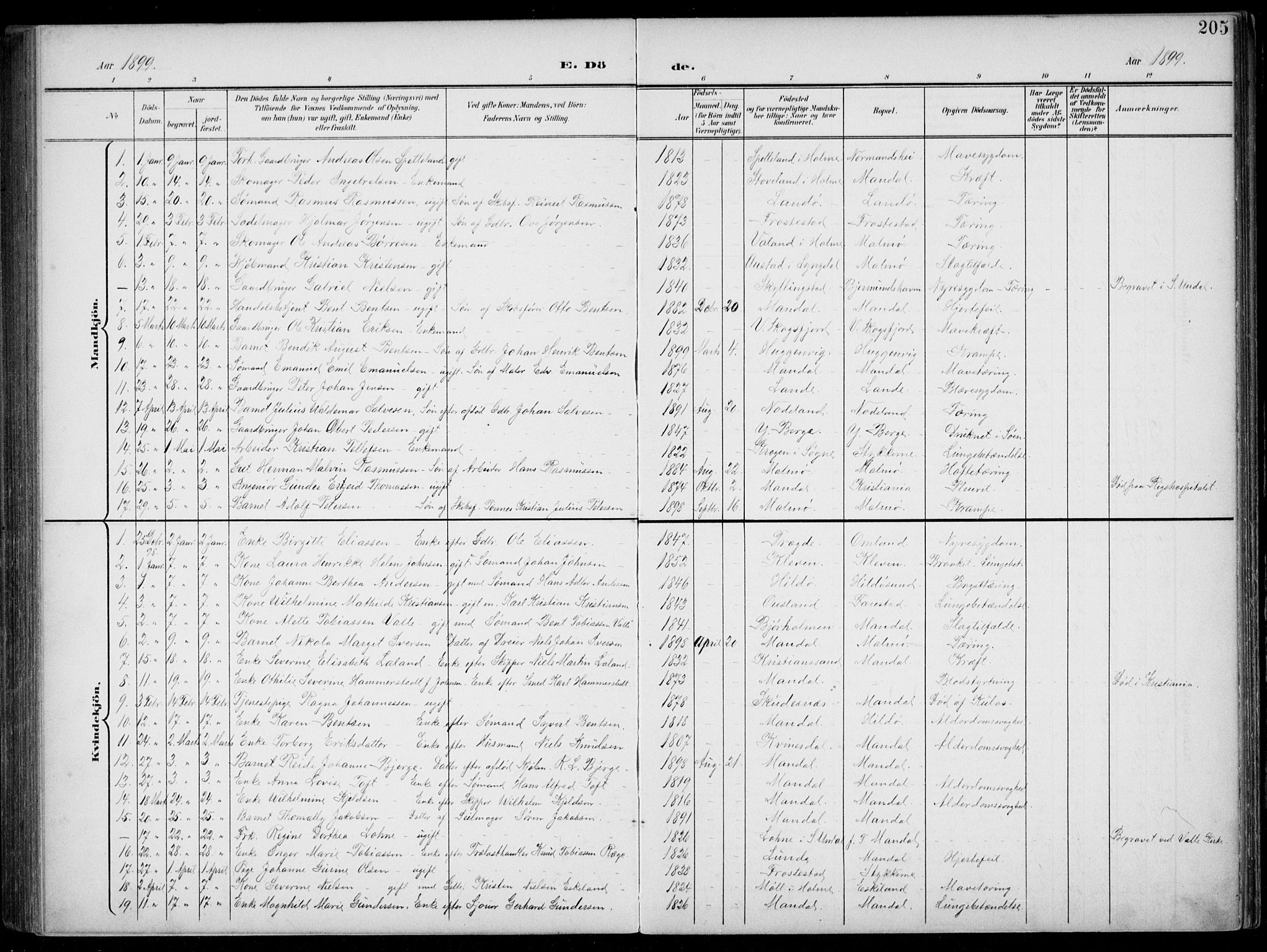 Mandal sokneprestkontor, AV/SAK-1111-0030/F/Fb/Fba/L0012: Parish register (copy) no. B 6, 1899-1918, p. 205