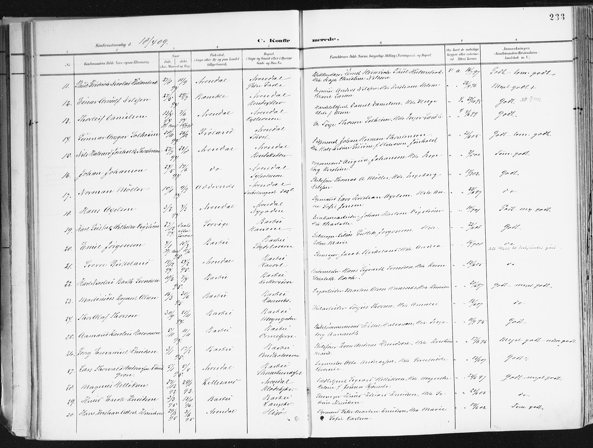 Arendal sokneprestkontor, Trefoldighet, AV/SAK-1111-0040/F/Fa/L0010: Parish register (official) no. A 10, 1900-1919, p. 233