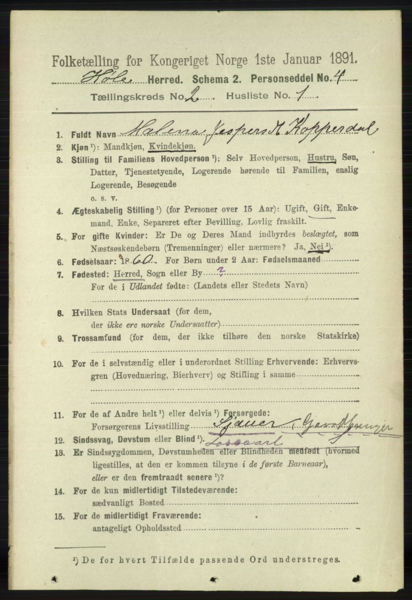 RA, 1891 census for 1128 Høle, 1891, p. 222