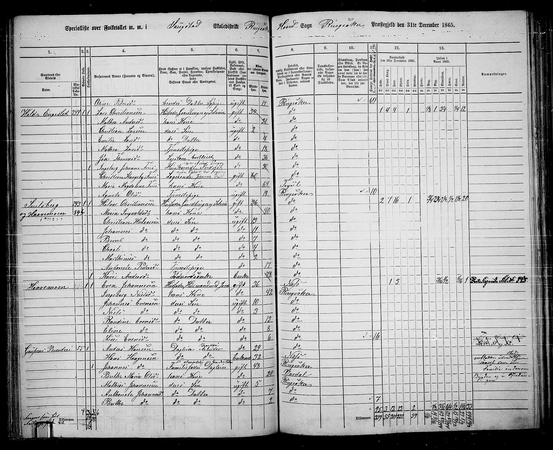 RA, 1865 census for Ringsaker, 1865, p. 111