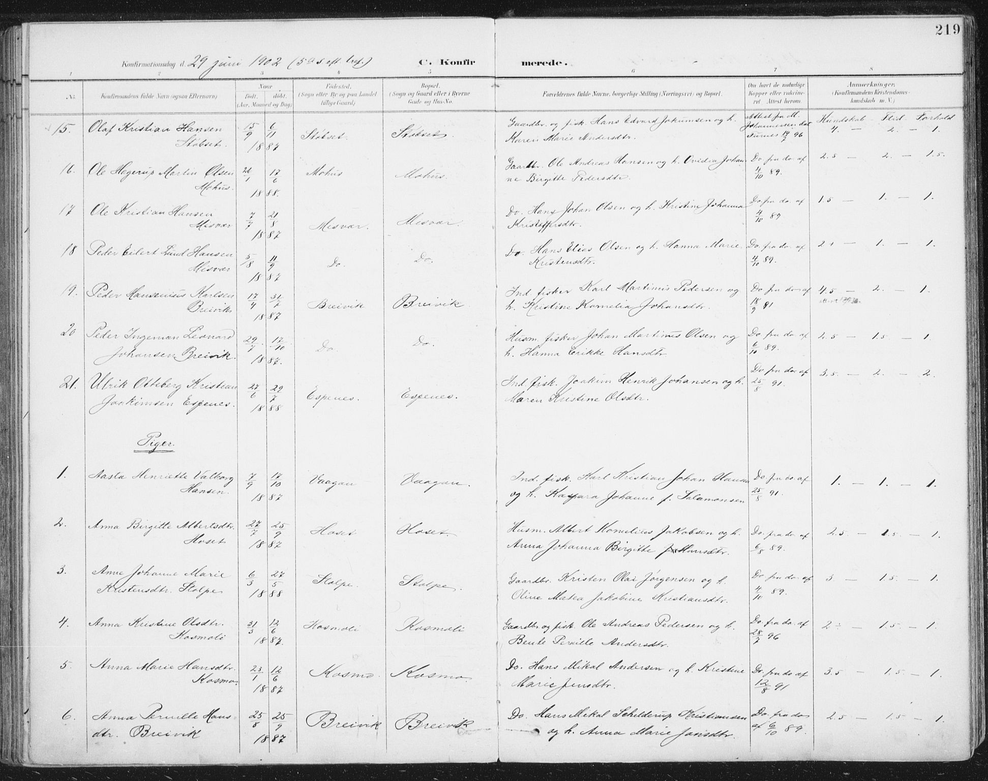 Ministerialprotokoller, klokkerbøker og fødselsregistre - Nordland, AV/SAT-A-1459/852/L0741: Parish register (official) no. 852A11, 1894-1917, p. 219