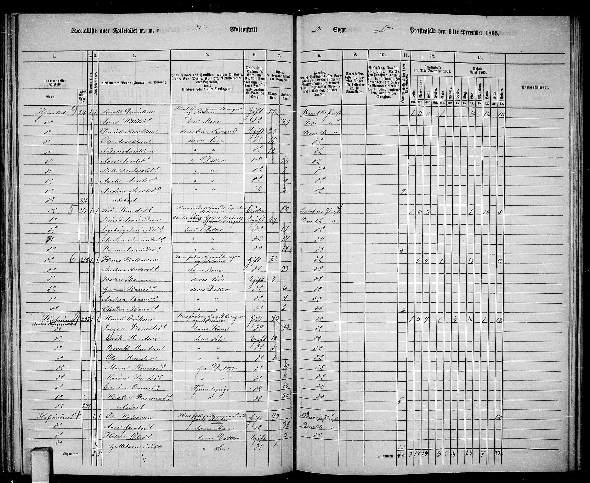 RA, 1865 census for Bamble, 1865, p. 120