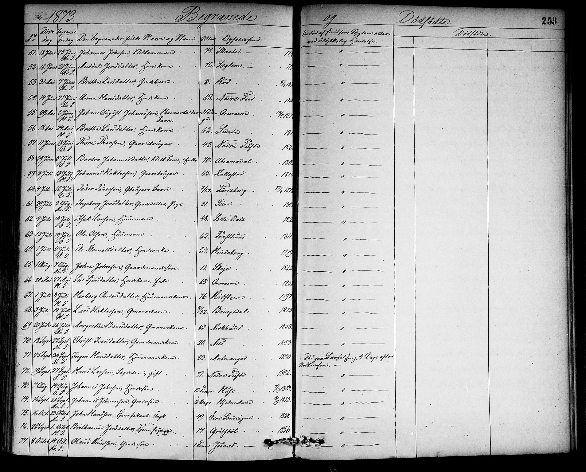 Kvinnherad sokneprestembete, SAB/A-76401/H/Haa: Parish register (official) no. A 9, 1873-1886, p. 253