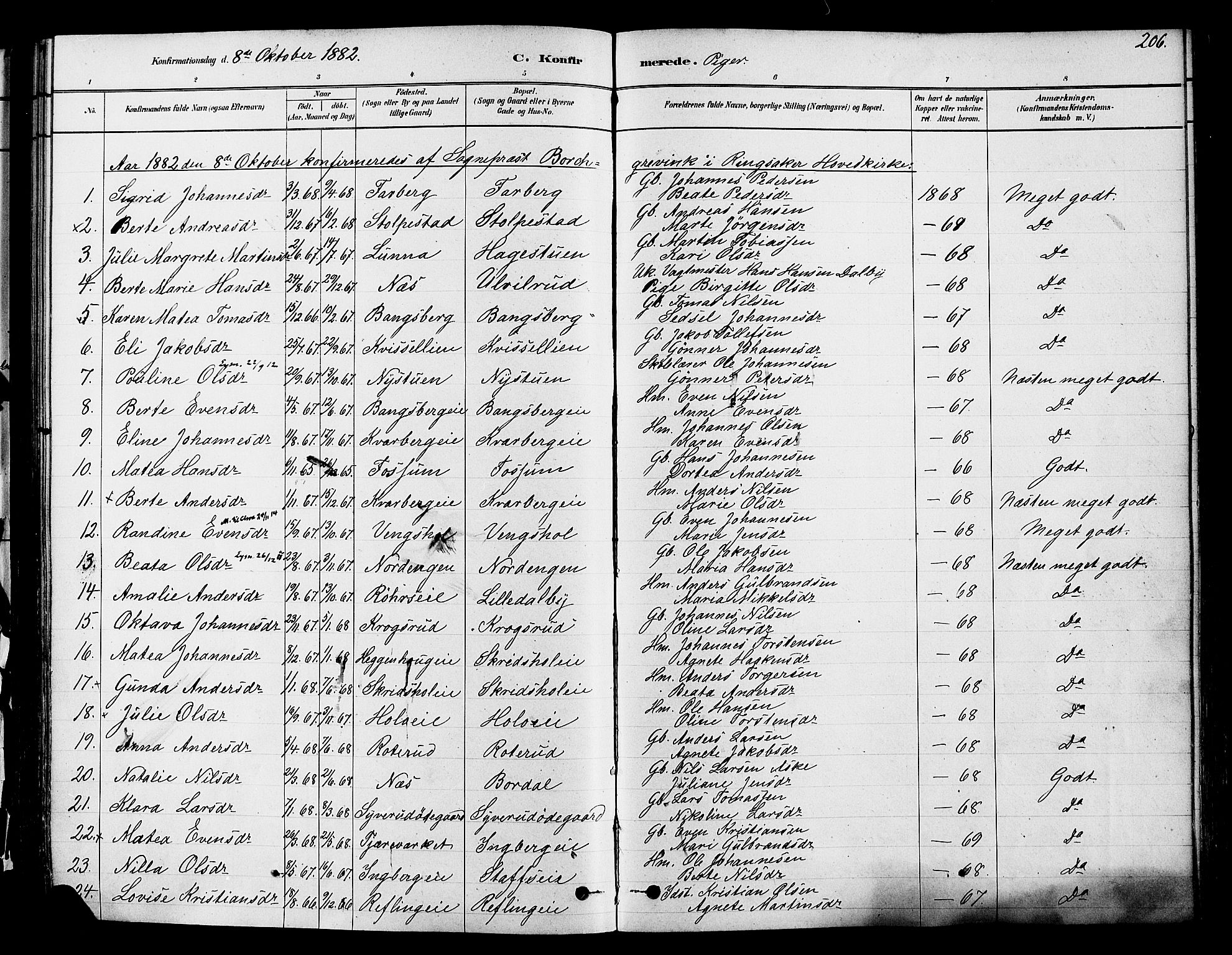 Ringsaker prestekontor, AV/SAH-PREST-014/K/Ka/L0012: Parish register (official) no. 12, 1879-1890, p. 206