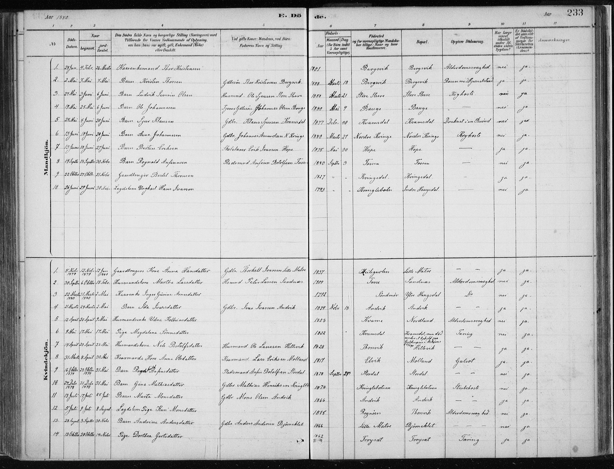 Masfjorden Sokneprestembete, SAB/A-77001: Parish register (official) no. B  1, 1876-1899, p. 233