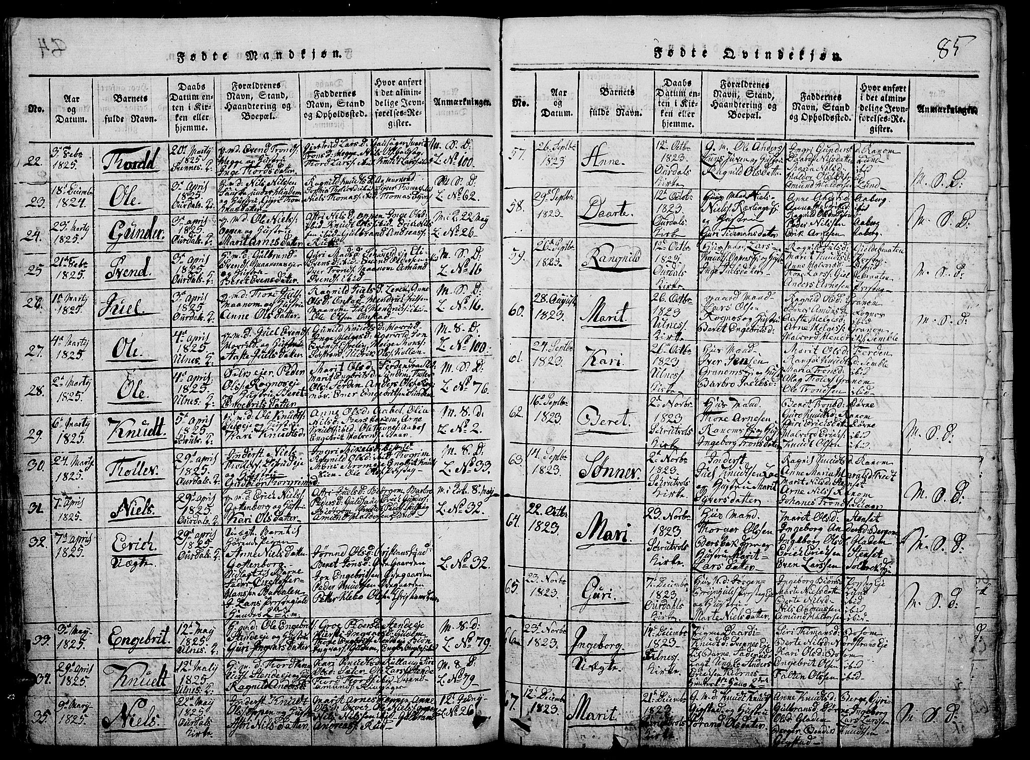 Nord-Aurdal prestekontor, SAH/PREST-132/H/Ha/Haa/L0002: Parish register (official) no. 2, 1816-1828, p. 85