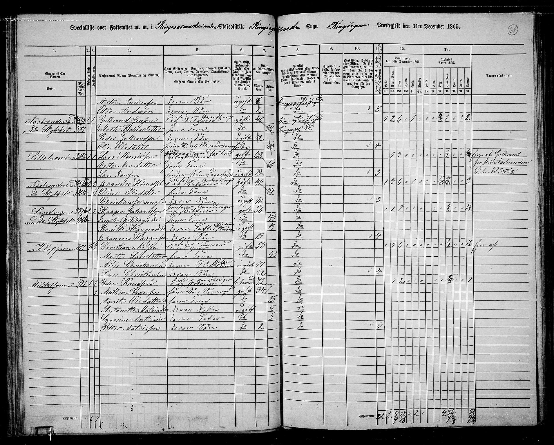 RA, 1865 census for Ringsaker, 1865, p. 320