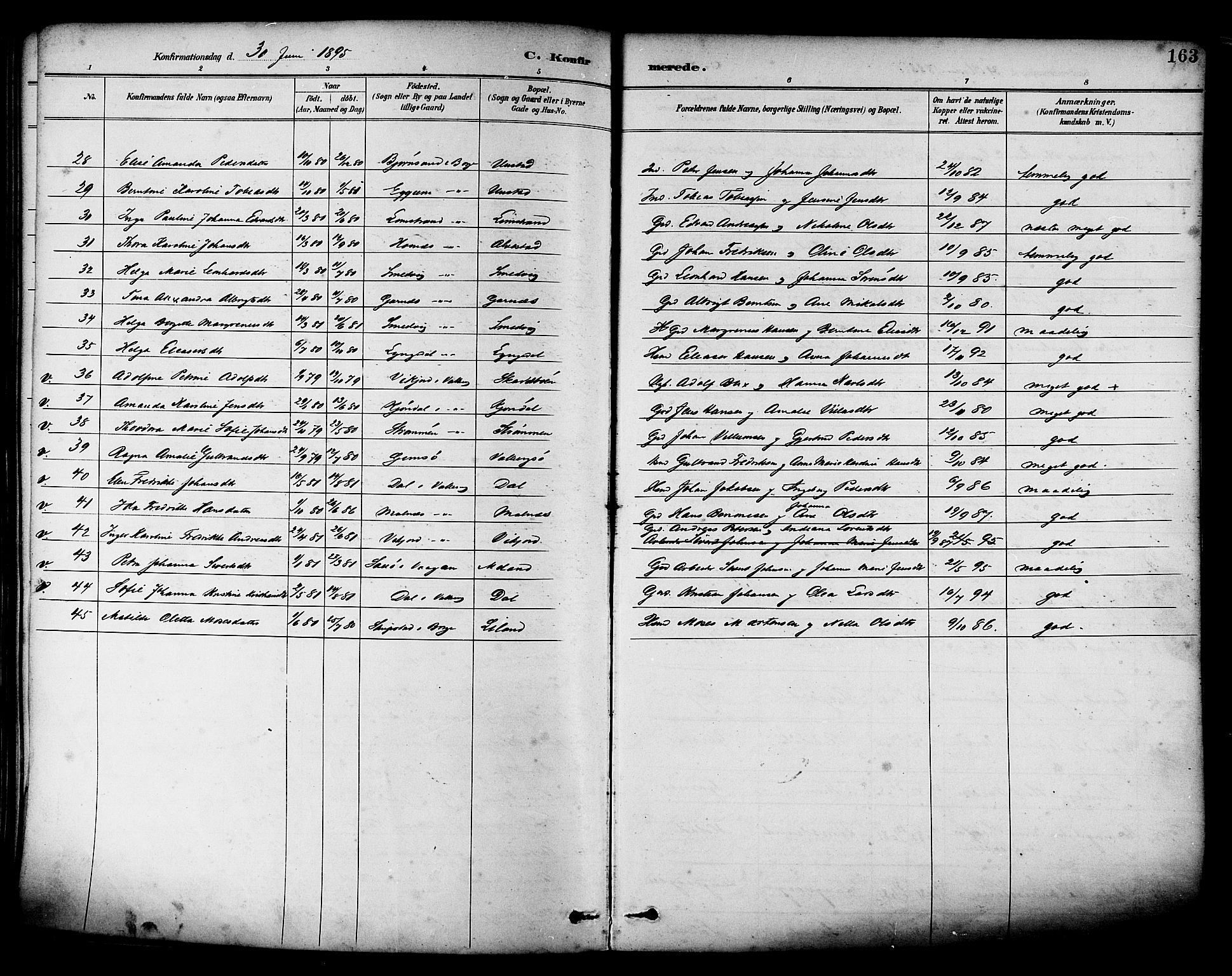 Ministerialprotokoller, klokkerbøker og fødselsregistre - Nordland, AV/SAT-A-1459/880/L1133: Parish register (official) no. 880A07, 1888-1898, p. 163