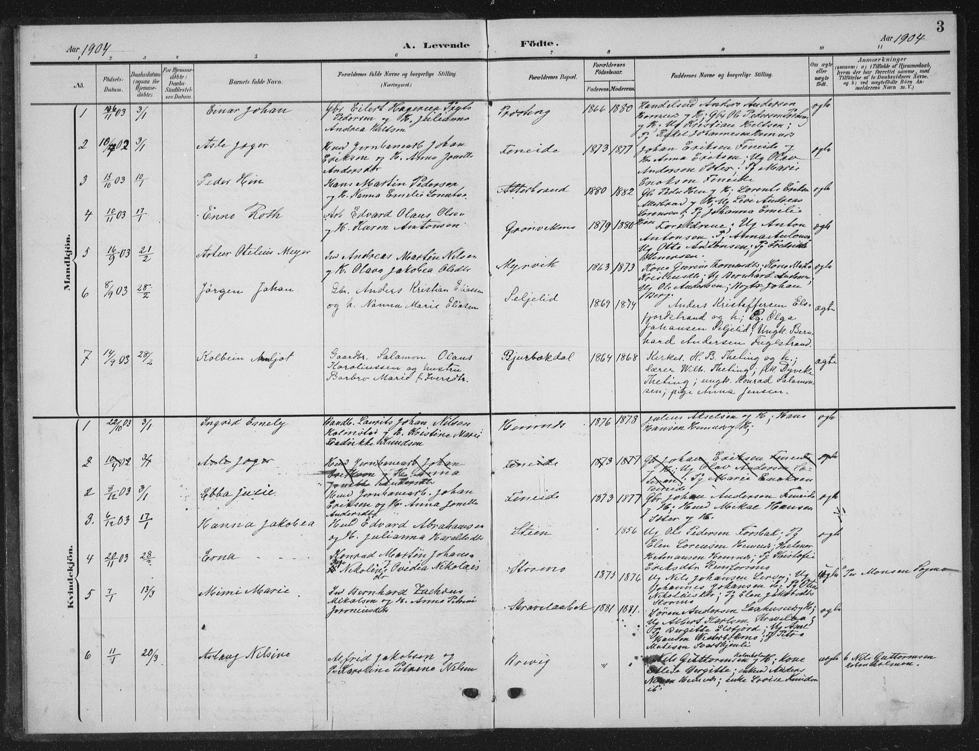 Ministerialprotokoller, klokkerbøker og fødselsregistre - Nordland, AV/SAT-A-1459/825/L0370: Parish register (copy) no. 825C07, 1903-1923, p. 3