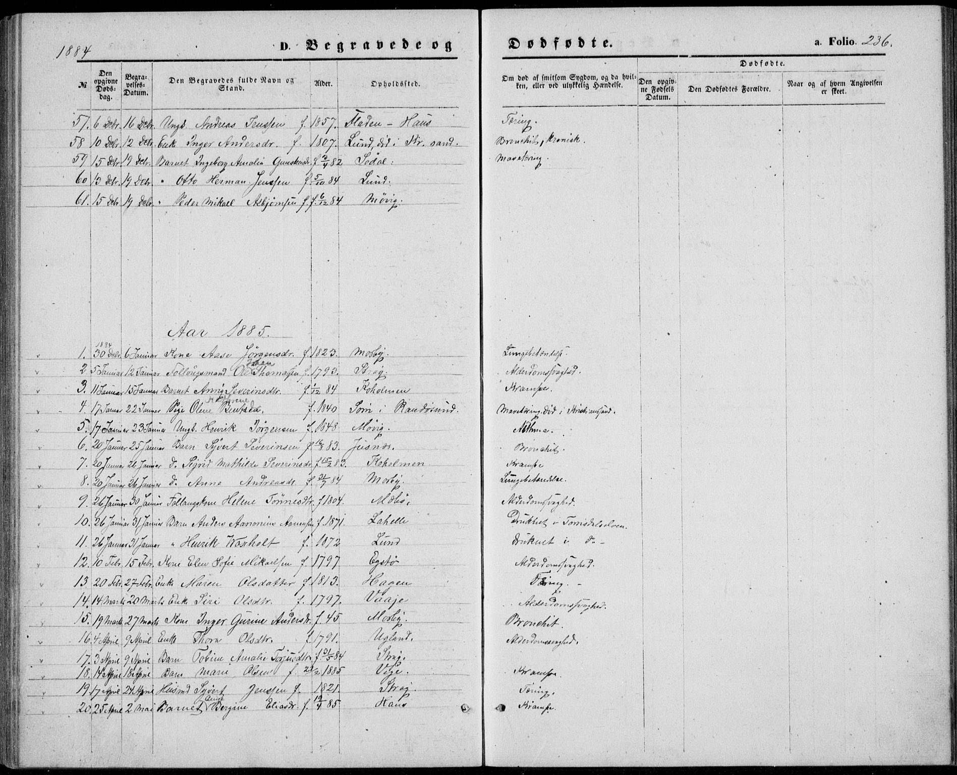 Oddernes sokneprestkontor, SAK/1111-0033/F/Fb/Fba/L0007: Parish register (copy) no. B 7, 1869-1887, p. 236