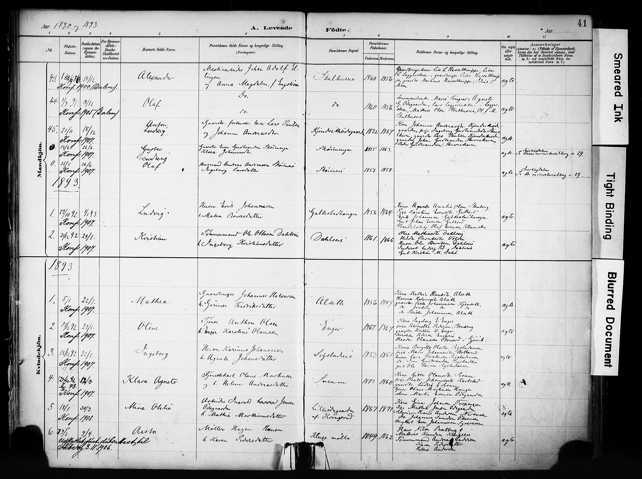 Biri prestekontor, SAH/PREST-096/H/Ha/Haa/L0009: Parish register (official) no. 9, 1887-1900, p. 41