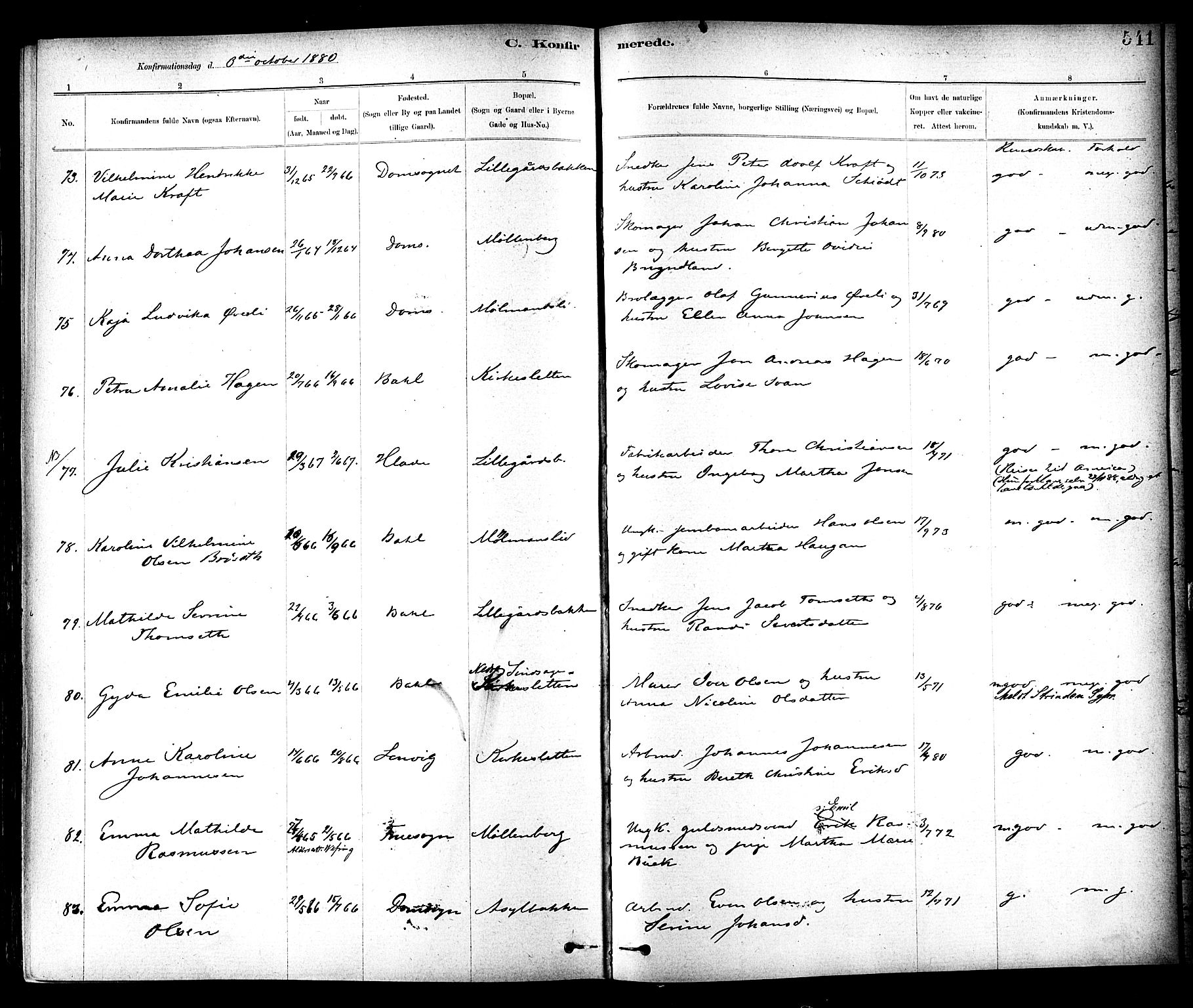 Ministerialprotokoller, klokkerbøker og fødselsregistre - Sør-Trøndelag, SAT/A-1456/604/L0188: Parish register (official) no. 604A09, 1878-1892, p. 541