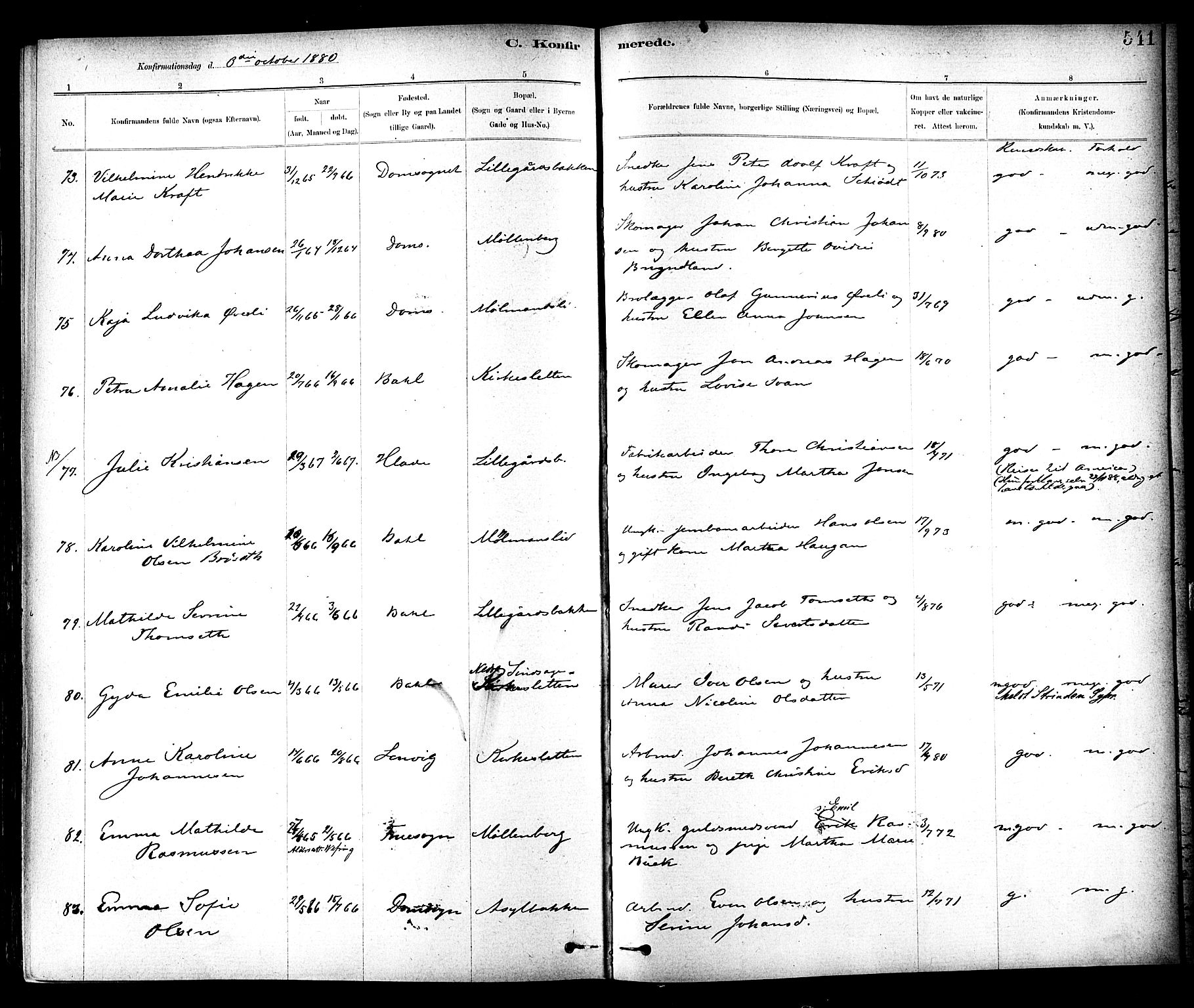 Ministerialprotokoller, klokkerbøker og fødselsregistre - Sør-Trøndelag, AV/SAT-A-1456/604/L0188: Parish register (official) no. 604A09, 1878-1892, p. 541