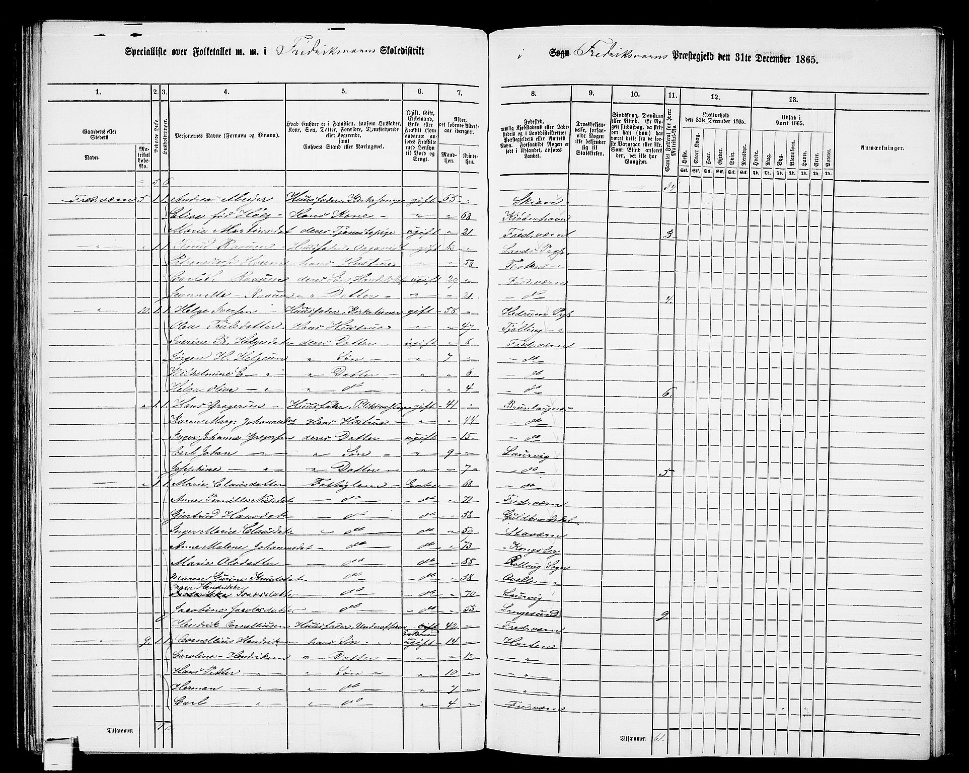 RA, 1865 census for Fredriksvern, 1865, p. 11