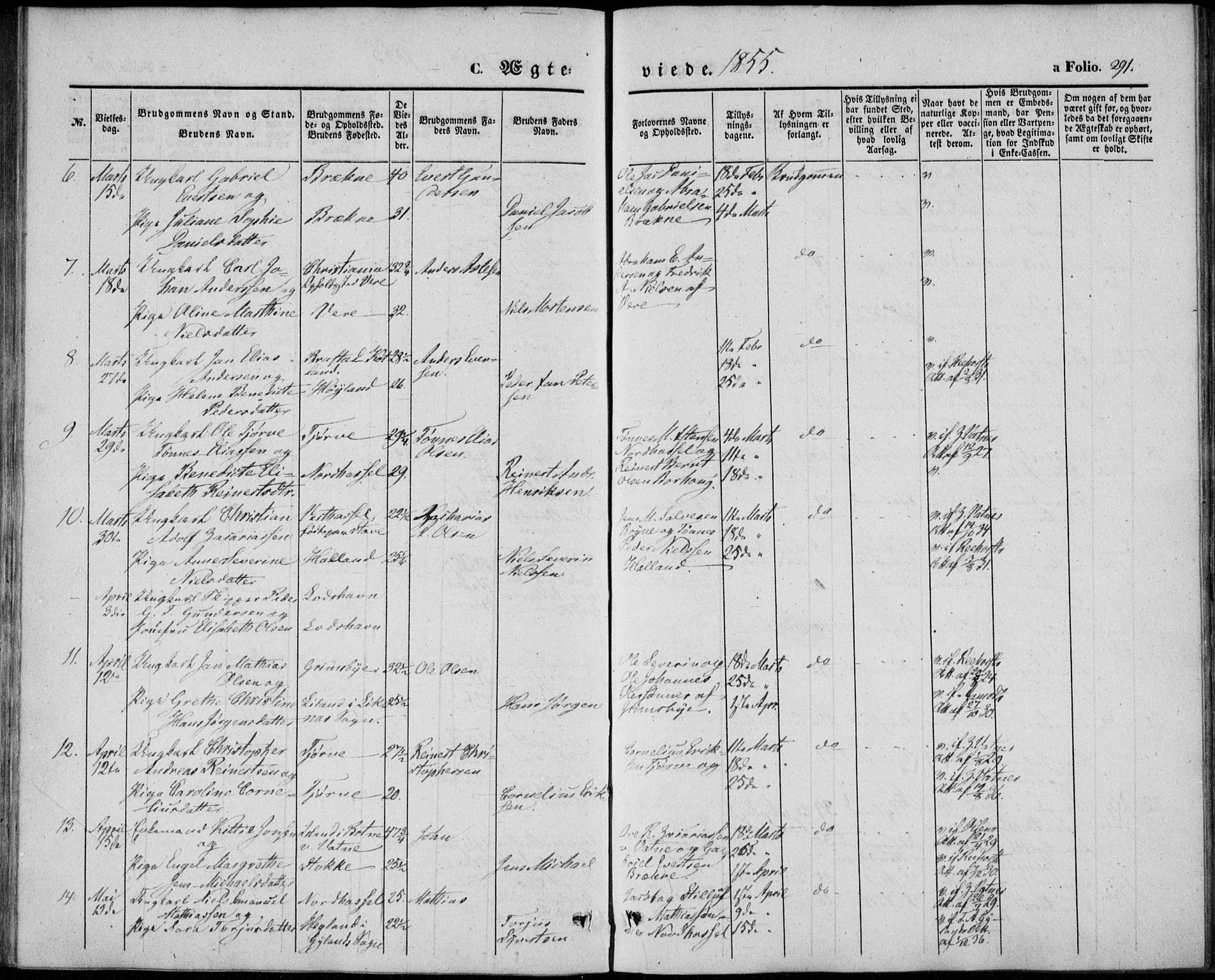 Lista sokneprestkontor, AV/SAK-1111-0027/F/Fb/L0002: Parish register (copy) no. B 2, 1847-1862, p. 291