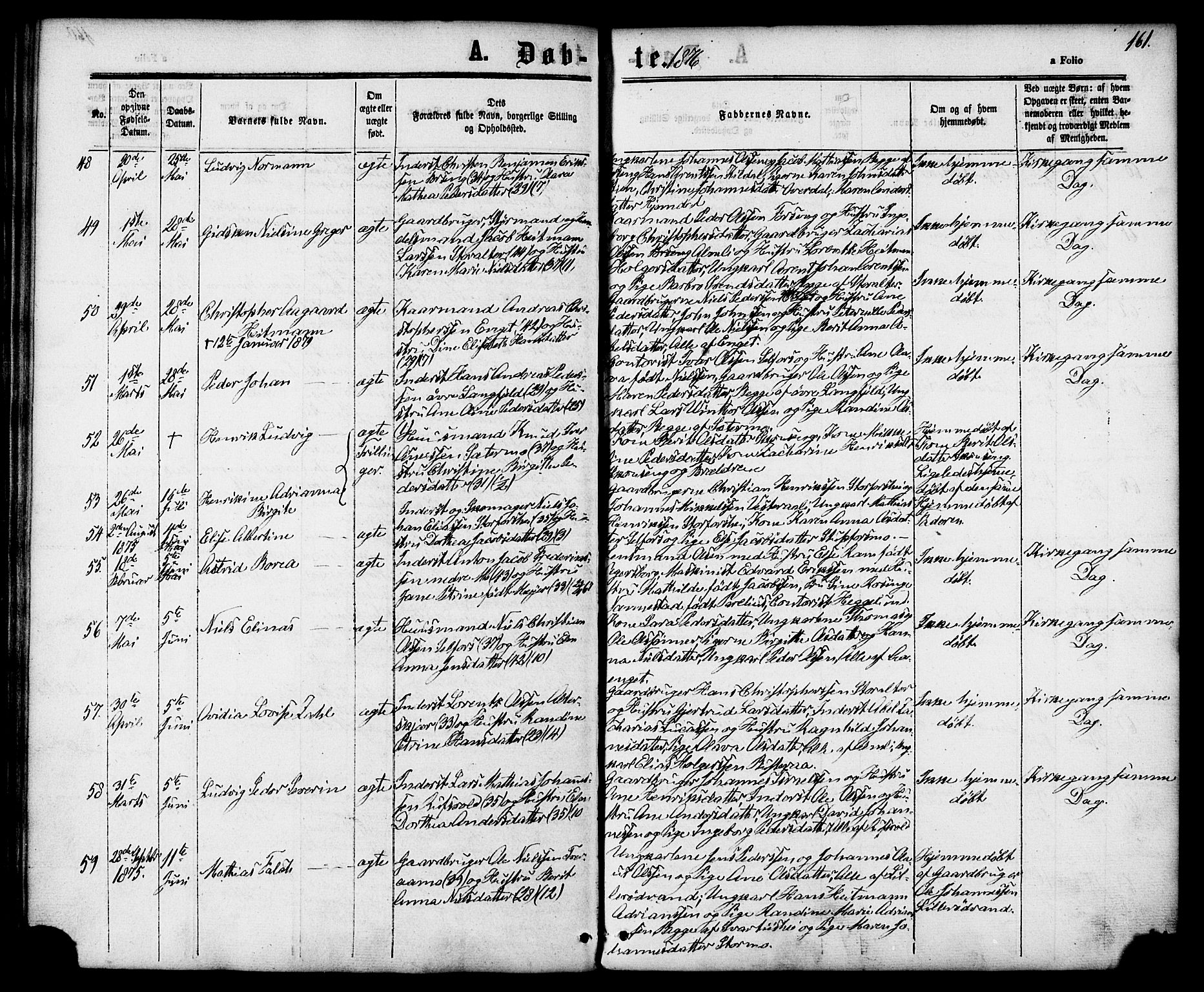 Ministerialprotokoller, klokkerbøker og fødselsregistre - Nordland, AV/SAT-A-1459/827/L0393: Parish register (official) no. 827A05, 1863-1883, p. 161