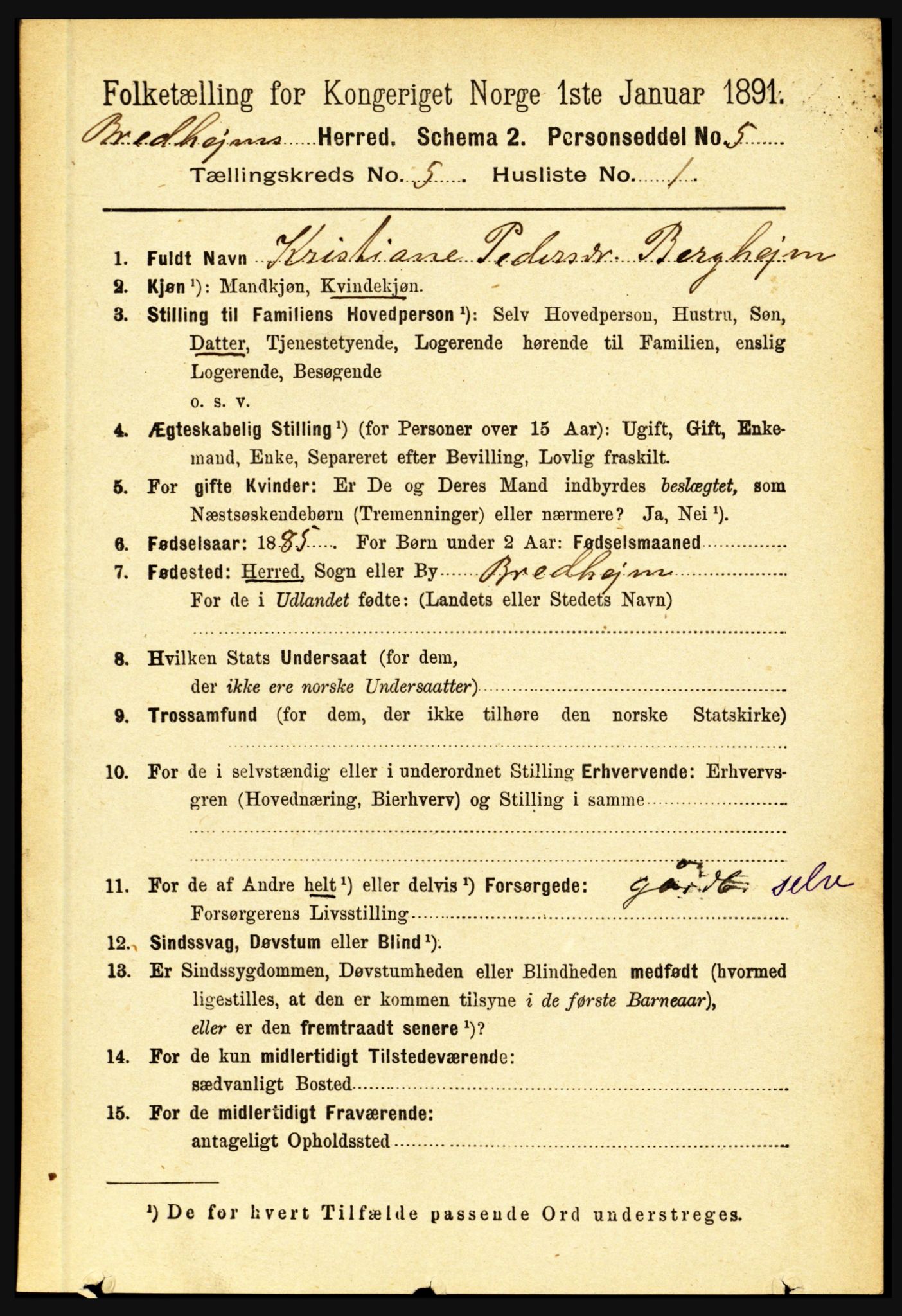 RA, 1891 census for 1446 Breim, 1891, p. 1740