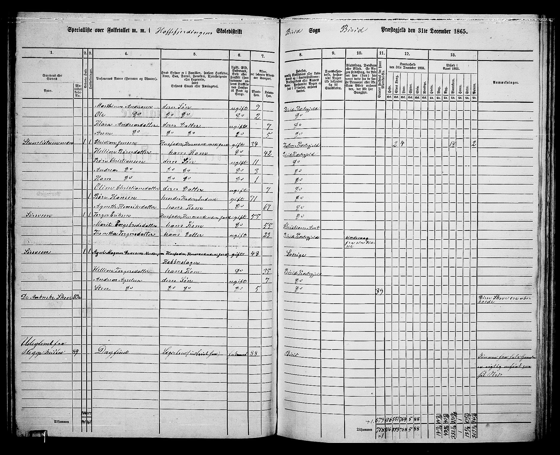 RA, 1865 census for Biri, 1865, p. 114