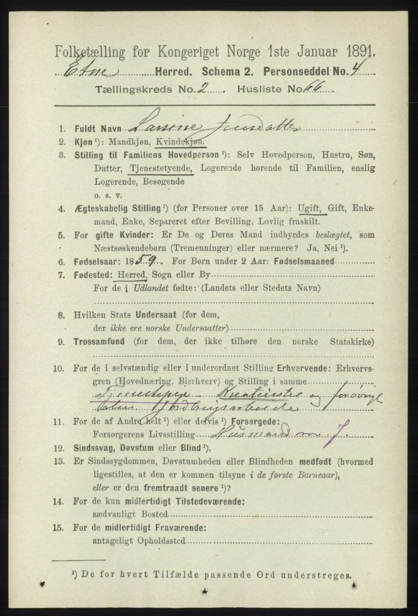 RA, 1891 census for 1211 Etne, 1891, p. 654