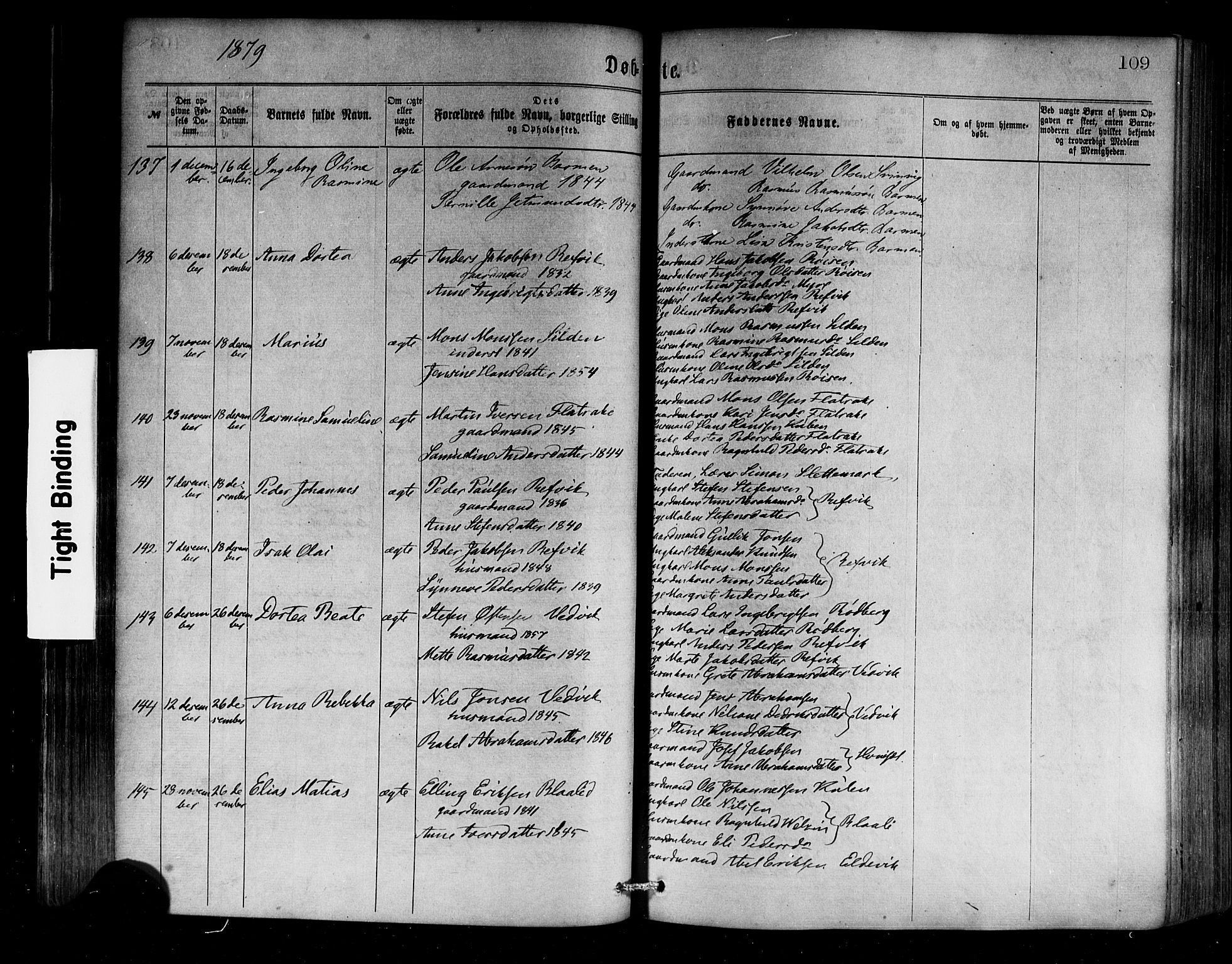 Selje sokneprestembete, SAB/A-99938/H/Ha/Haa/Haaa: Parish register (official) no. A 12, 1870-1880, p. 109