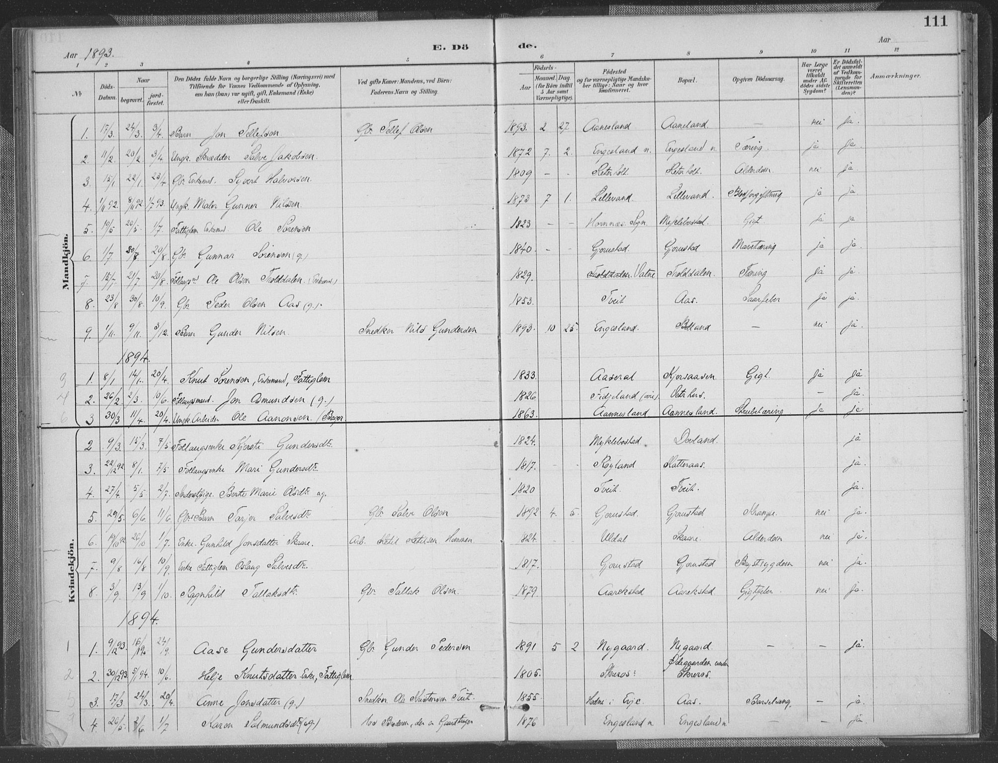 Herefoss sokneprestkontor, SAK/1111-0019/F/Fa/Fab/L0004: Parish register (official) no. A 4, 1887-1909, p. 111