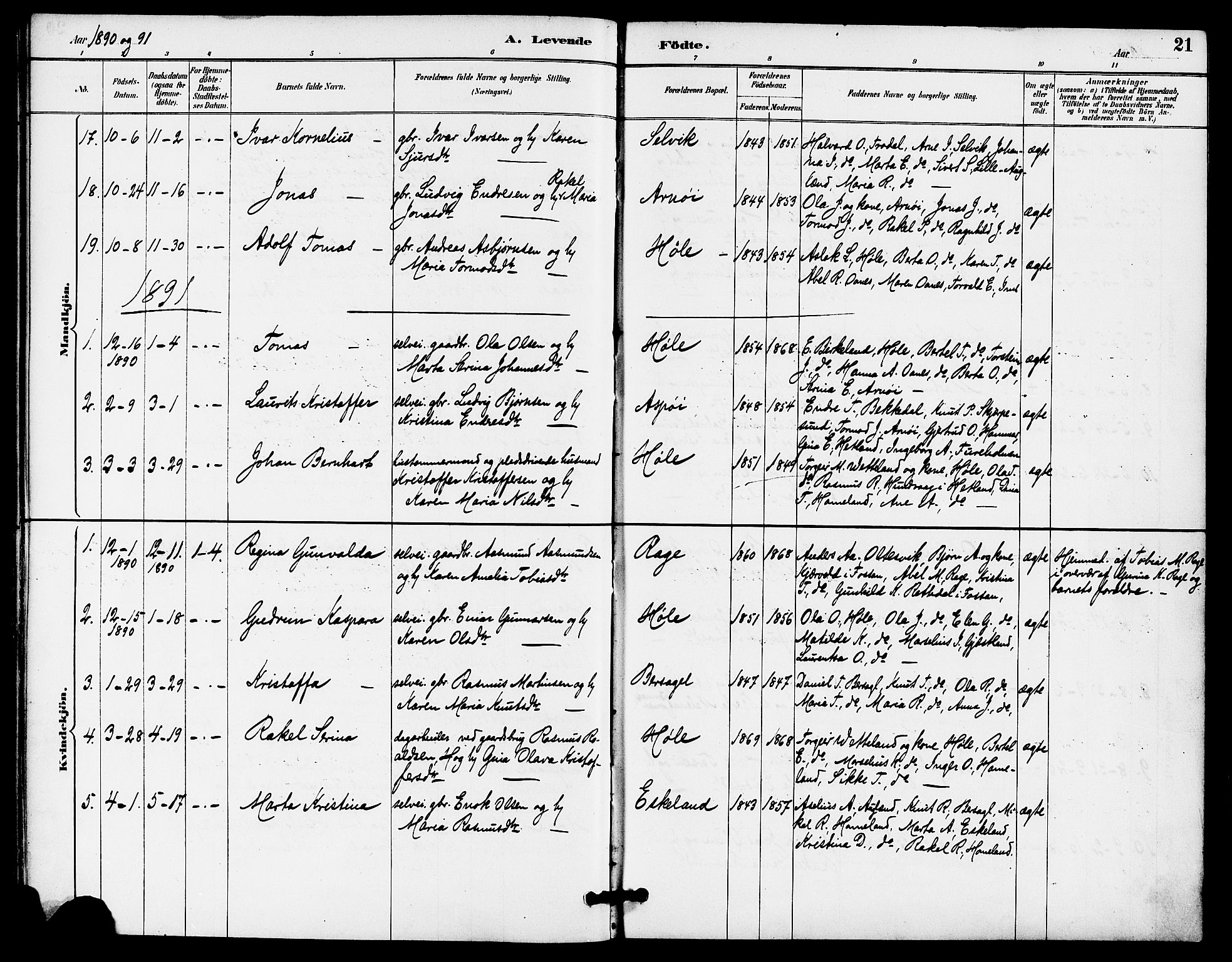 Høgsfjord sokneprestkontor, AV/SAST-A-101624/H/Ha/Haa/L0005: Parish register (official) no. A 5, 1885-1897, p. 21