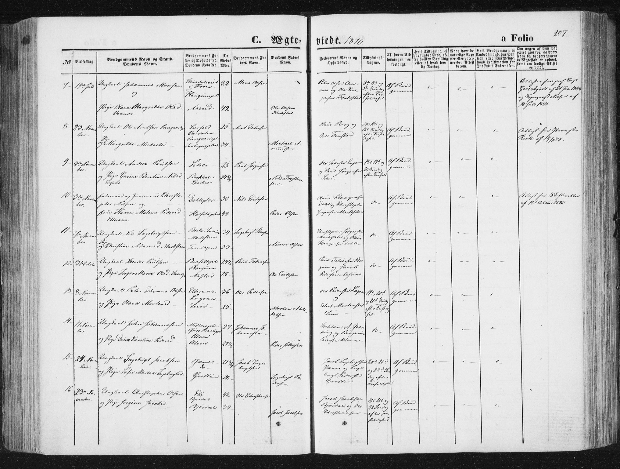 Ministerialprotokoller, klokkerbøker og fødselsregistre - Nord-Trøndelag, SAT/A-1458/746/L0447: Parish register (official) no. 746A06, 1860-1877, p. 207