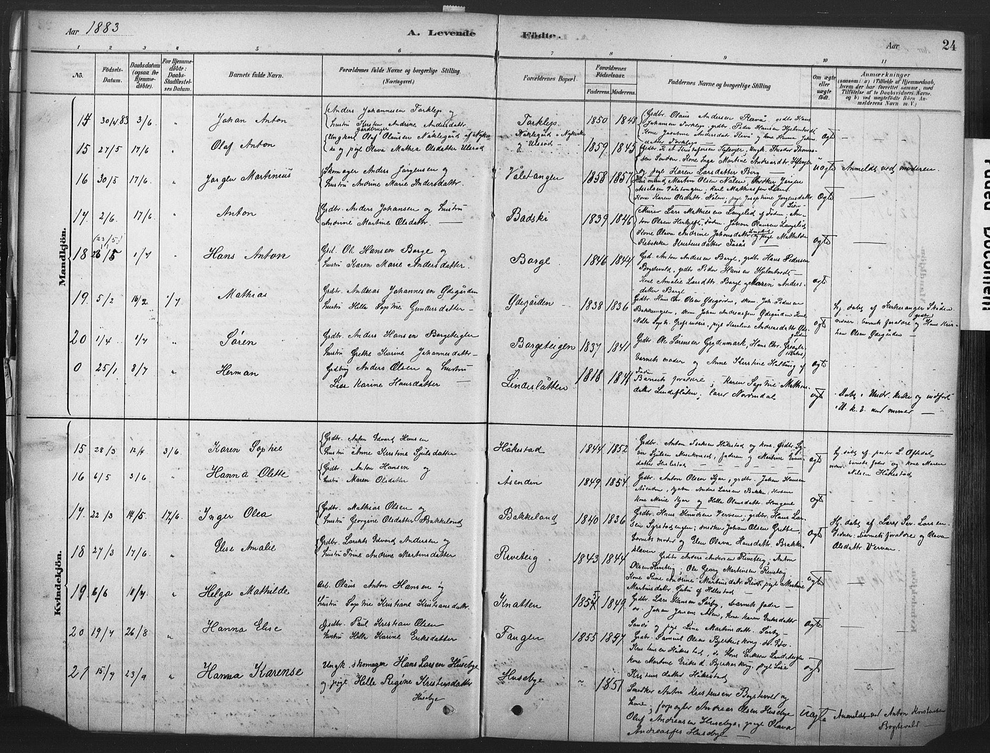 Våle kirkebøker, AV/SAKO-A-334/F/Fa/L0011: Parish register (official) no. I 11, 1878-1906, p. 24