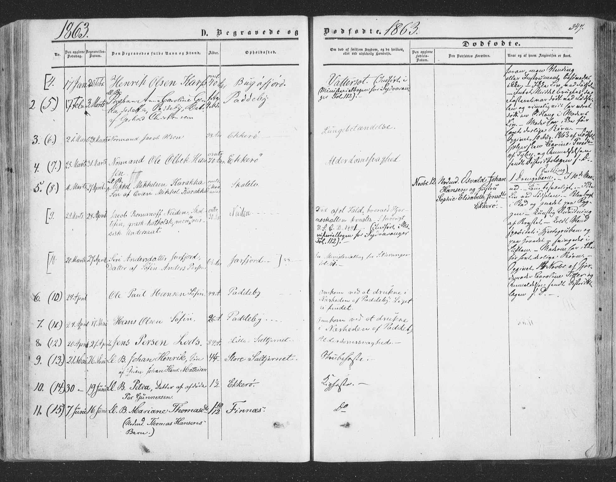 Vadsø sokneprestkontor, SATØ/S-1325/H/Ha/L0004kirke: Parish register (official) no. 4, 1854-1880, p. 347