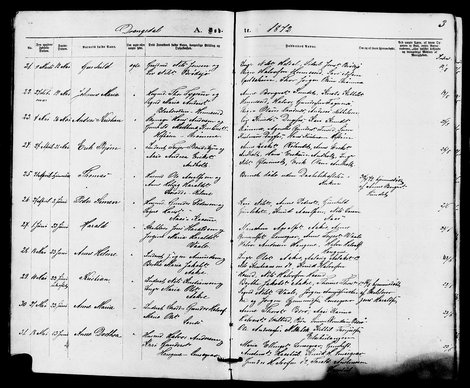 Drangedal kirkebøker, SAKO/A-258/F/Fa/L0009: Parish register (official) no. 9 /1, 1872-1884, p. 3