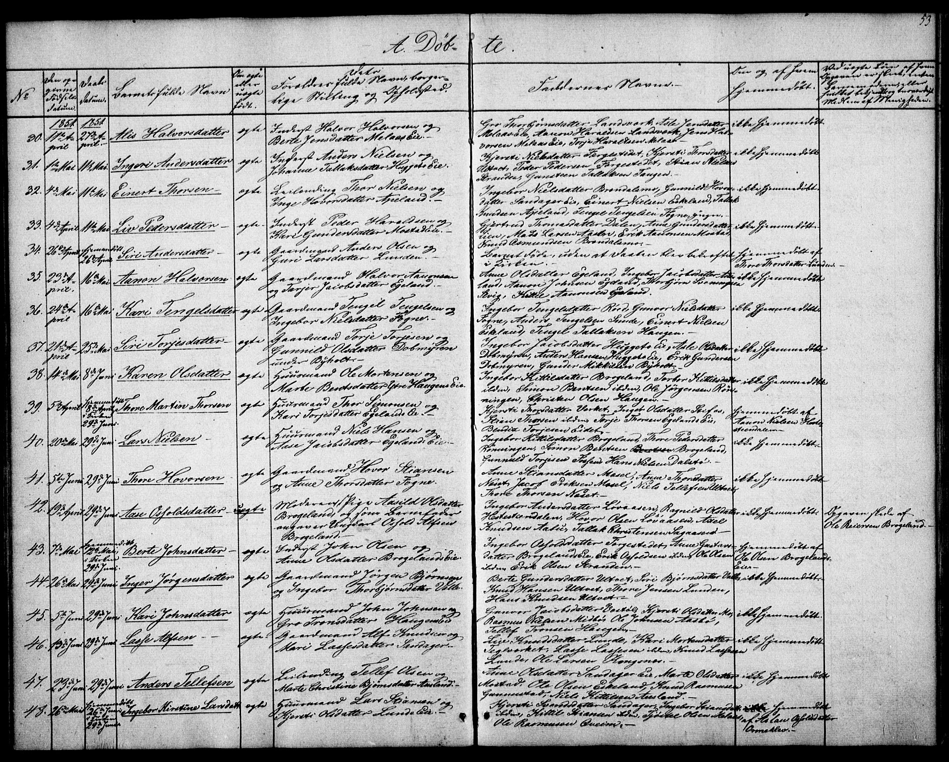 Gjerstad sokneprestkontor, AV/SAK-1111-0014/F/Fa/Faa/L0006: Parish register (official) no. A 6, 1841-1857, p. 53