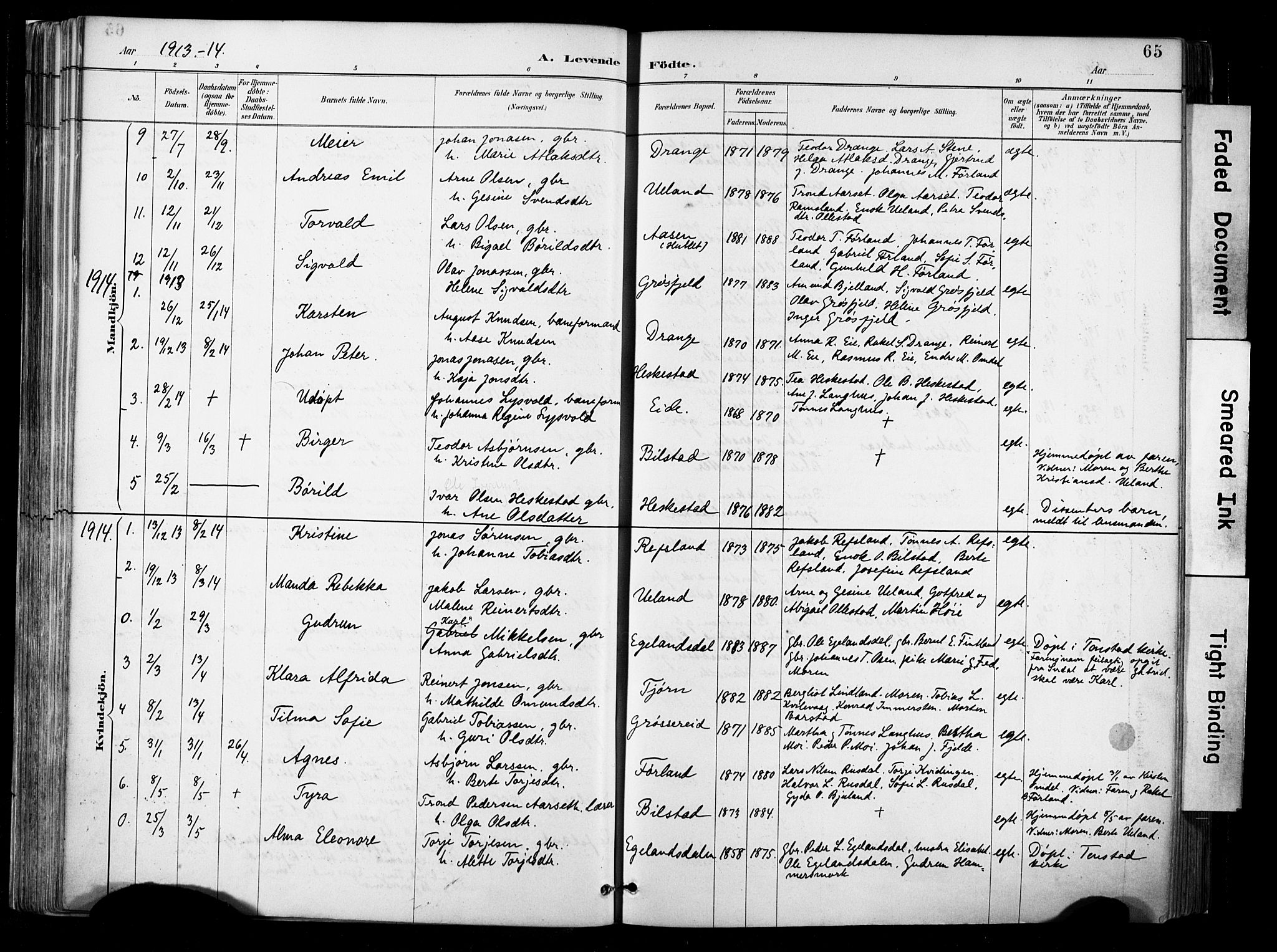 Lund sokneprestkontor, AV/SAST-A-101809/S06/L0012: Parish register (official) no. A 11, 1887-1921, p. 65