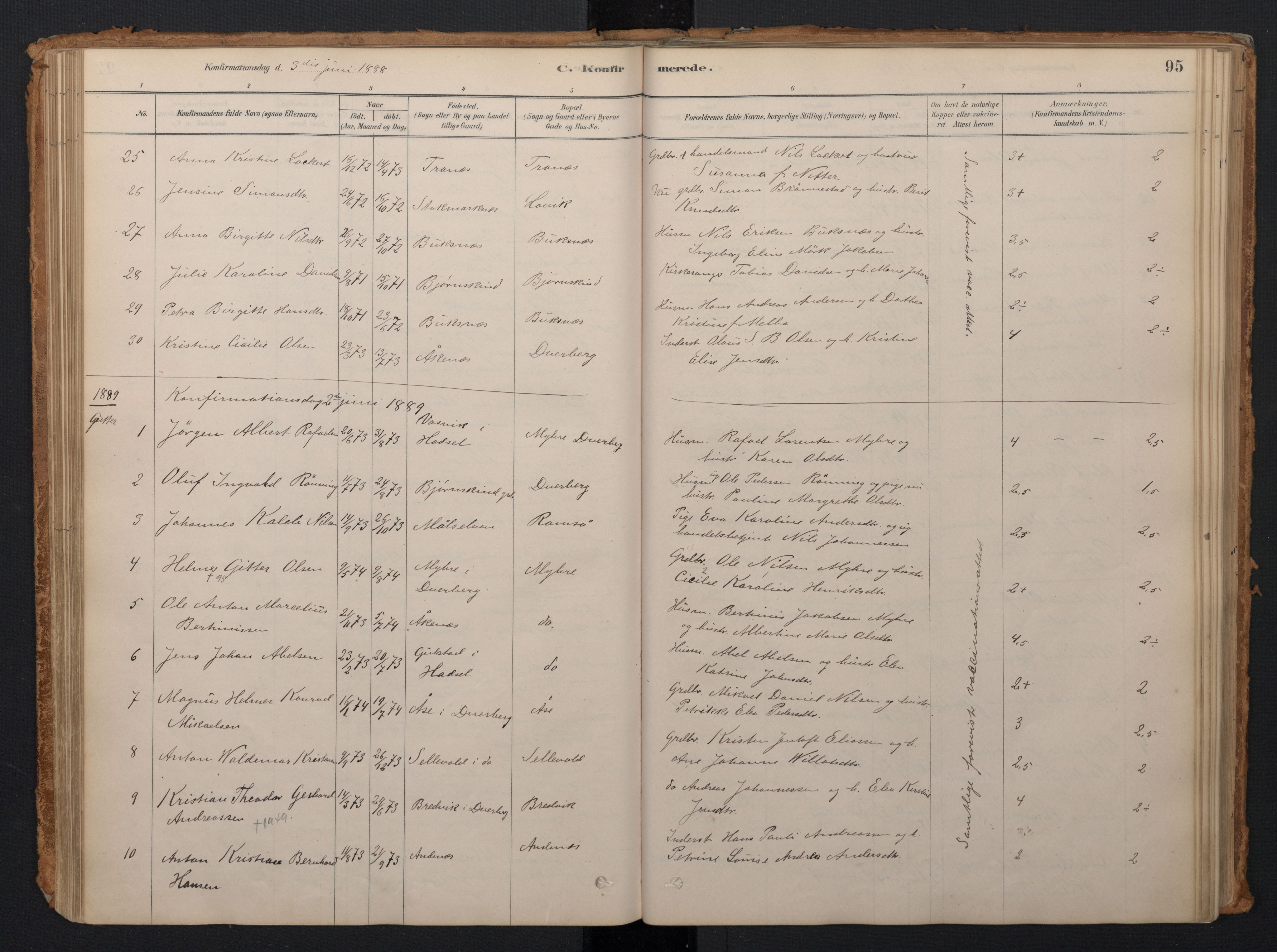 Ministerialprotokoller, klokkerbøker og fødselsregistre - Nordland, AV/SAT-A-1459/897/L1399: Parish register (official) no. 897A06, 1881-1896, p. 95