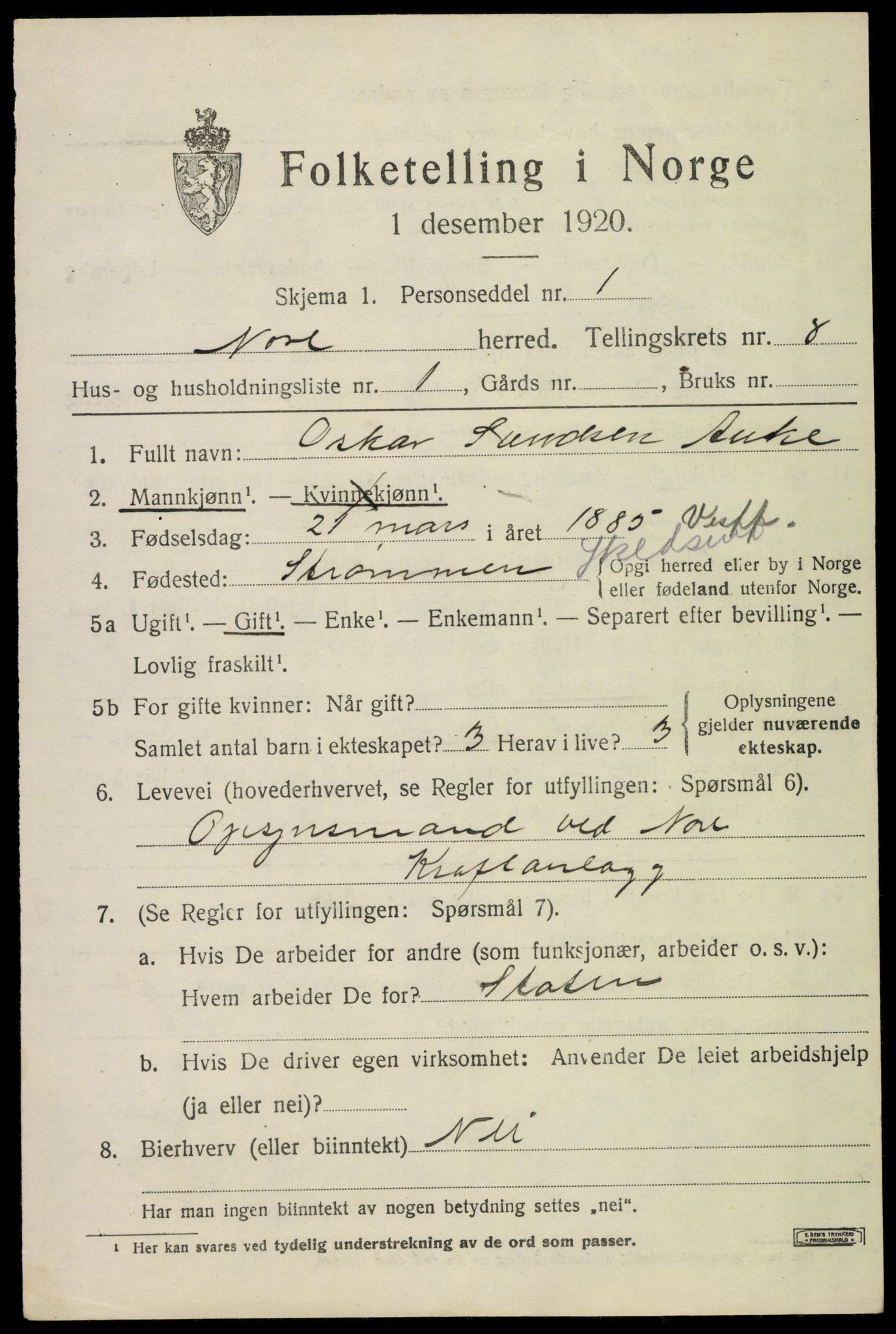 SAKO, 1920 census for Nore, 1920, p. 3998