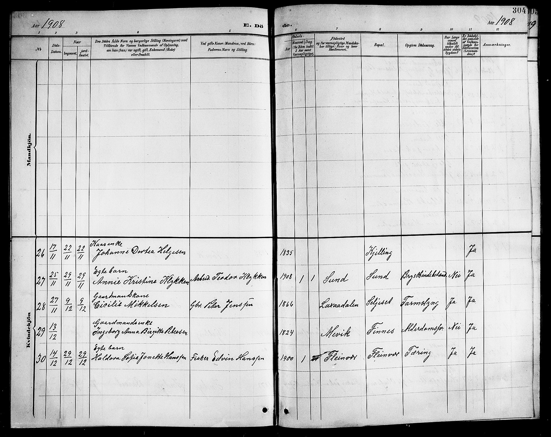 Ministerialprotokoller, klokkerbøker og fødselsregistre - Nordland, SAT/A-1459/805/L0109: Parish register (copy) no. 805C05, 1900-1911, p. 304
