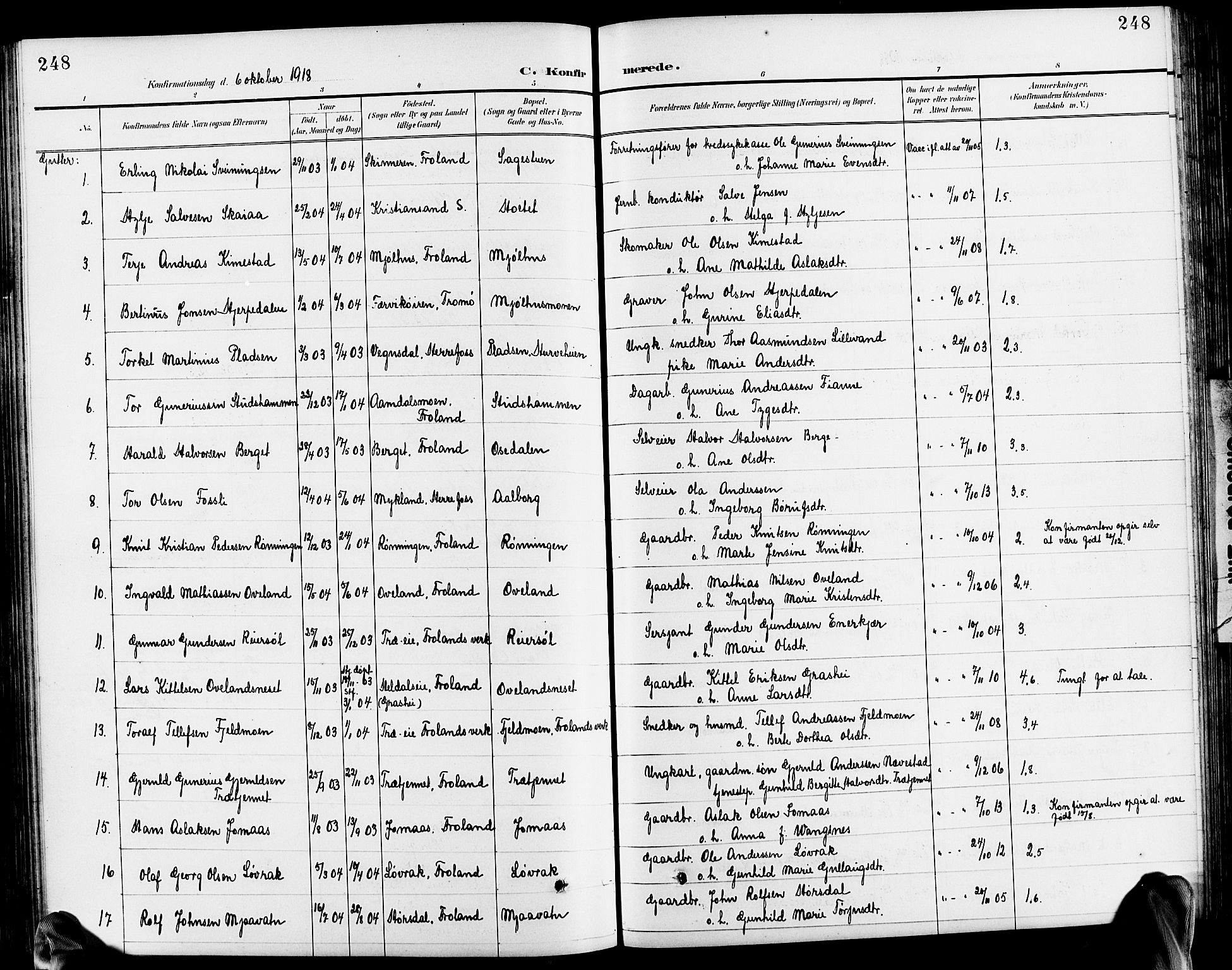 Froland sokneprestkontor, SAK/1111-0013/F/Fb/L0010: Parish register (copy) no. B 10, 1893-1920, p. 248