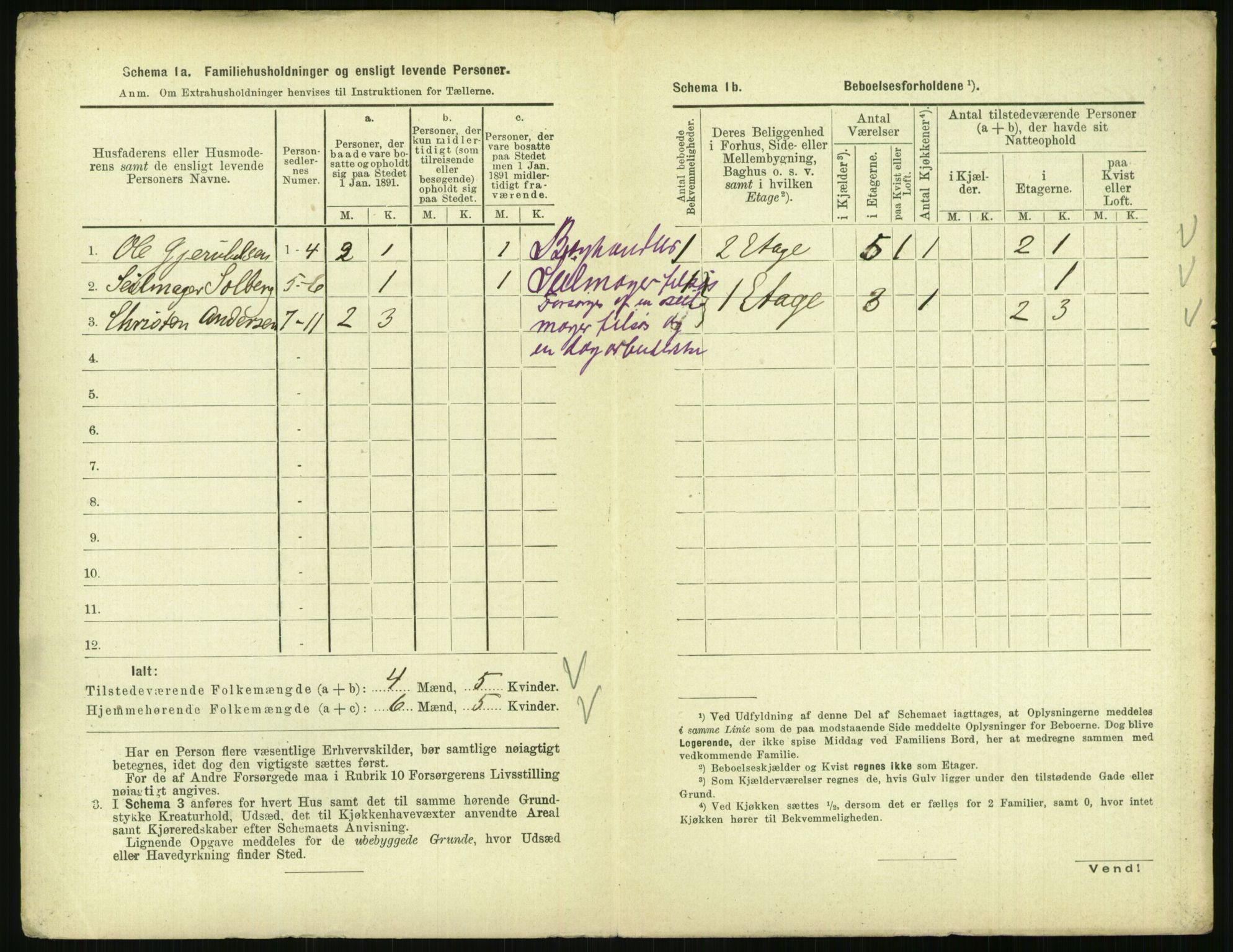 RA, 1891 census for 0903 Arendal, 1891, p. 217