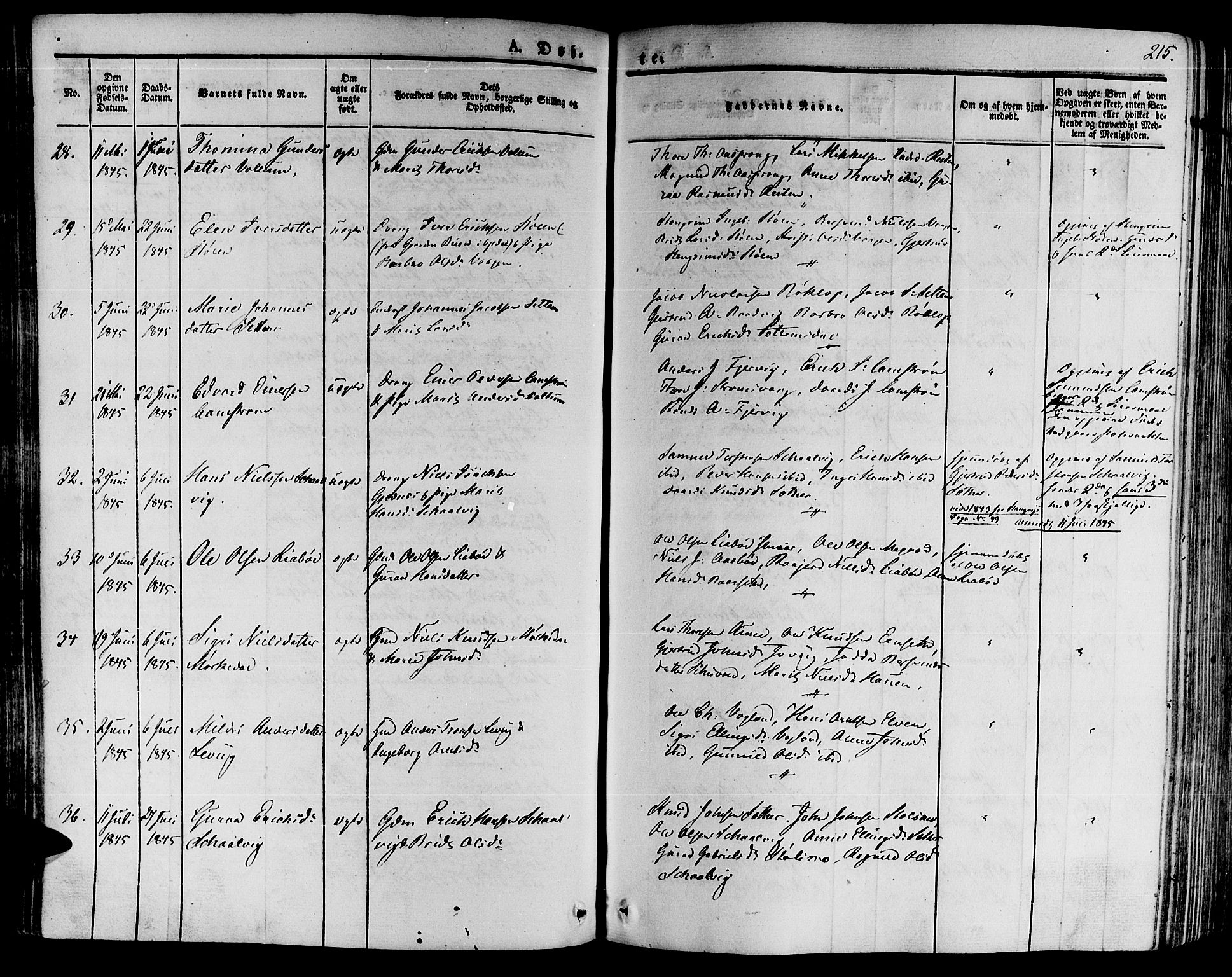 Ministerialprotokoller, klokkerbøker og fødselsregistre - Møre og Romsdal, SAT/A-1454/592/L1025: Parish register (official) no. 592A03 /2, 1831-1849, p. 215