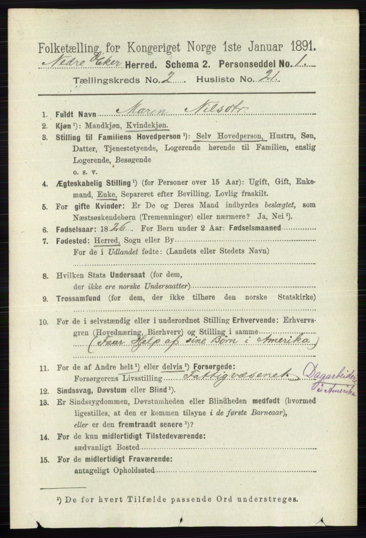 RA, 1891 census for 0625 Nedre Eiker, 1891, p. 665