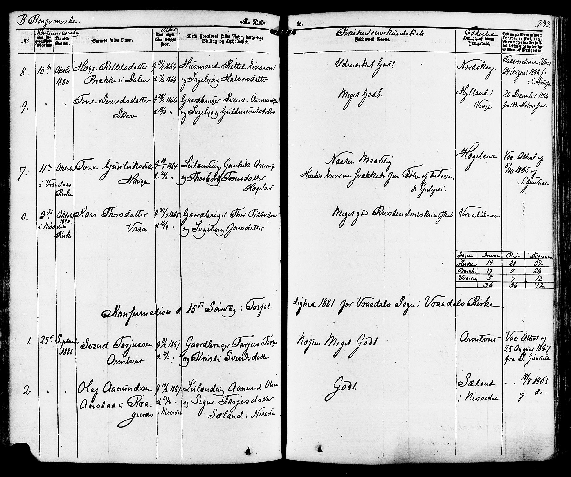 Kviteseid kirkebøker, SAKO/A-276/F/Fa/L0007: Parish register (official) no. I 7, 1859-1881, p. 233