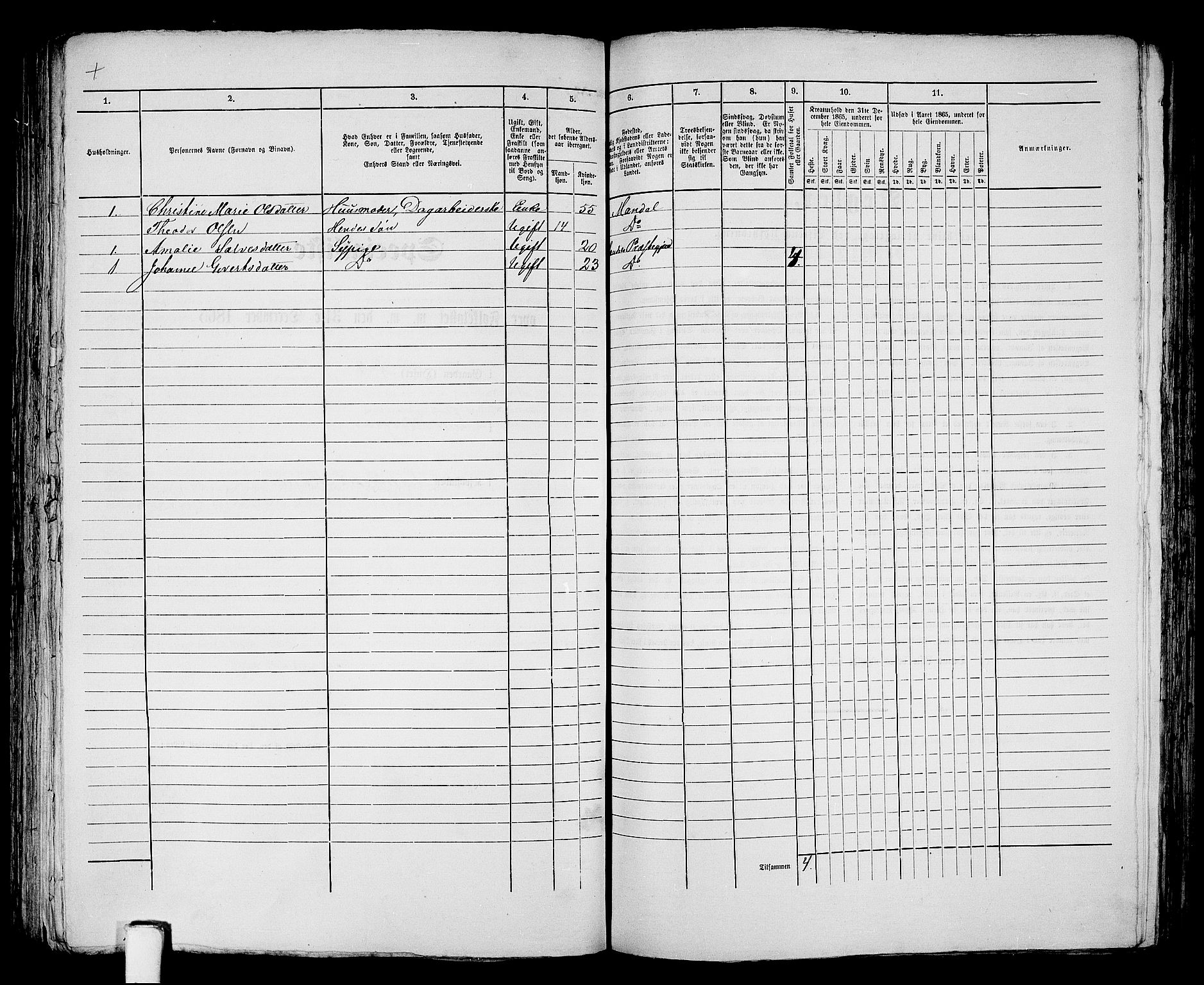 RA, 1865 census for Mandal/Mandal, 1865, p. 247